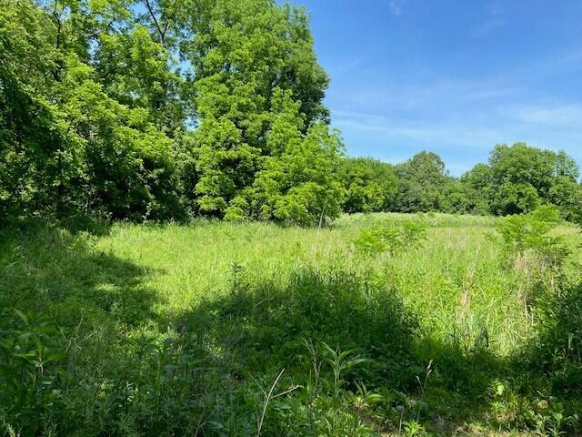 113 Lee's Creek Road Dover, KY 41034 - Photo 8 of 30 1