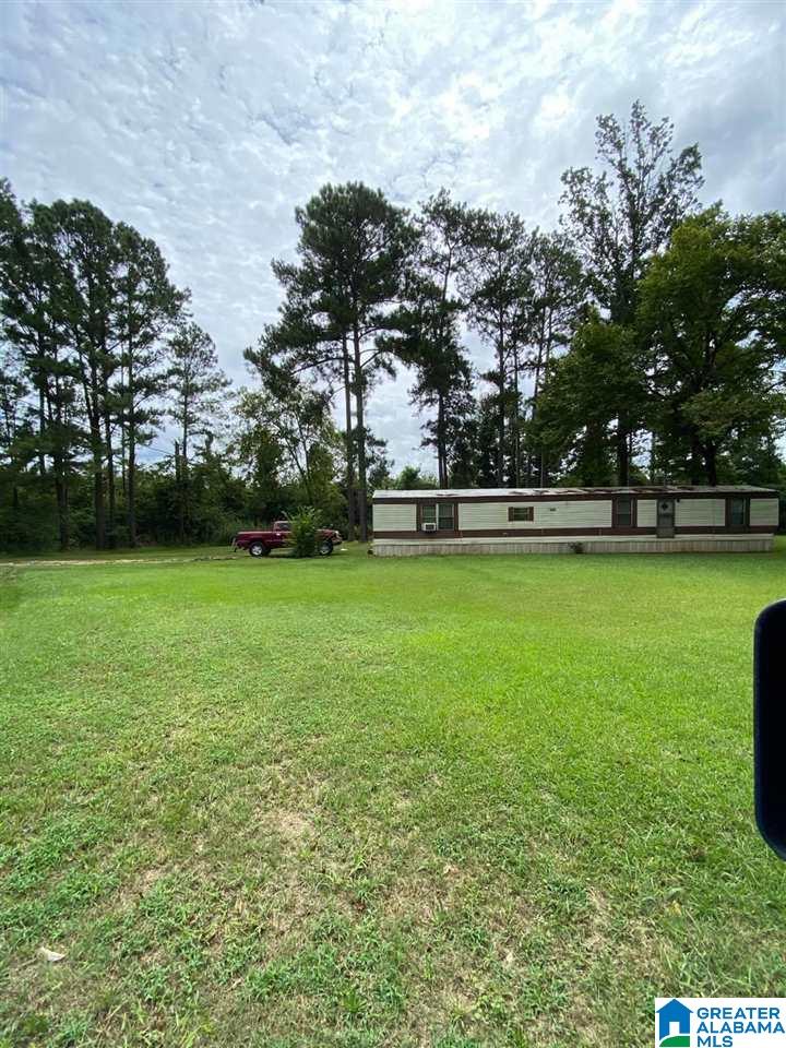 205 Flag Pole Mountain Road Sylacauga, AL 35151 - Photo 3 of 13