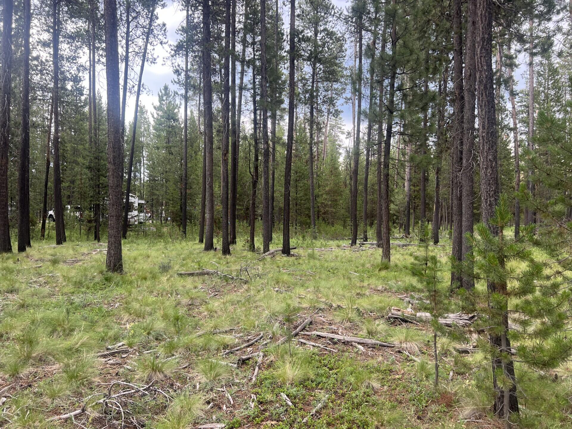 55975 Savage Road Bend, OR 97707 - Photo 1 of 5 Dresley 6