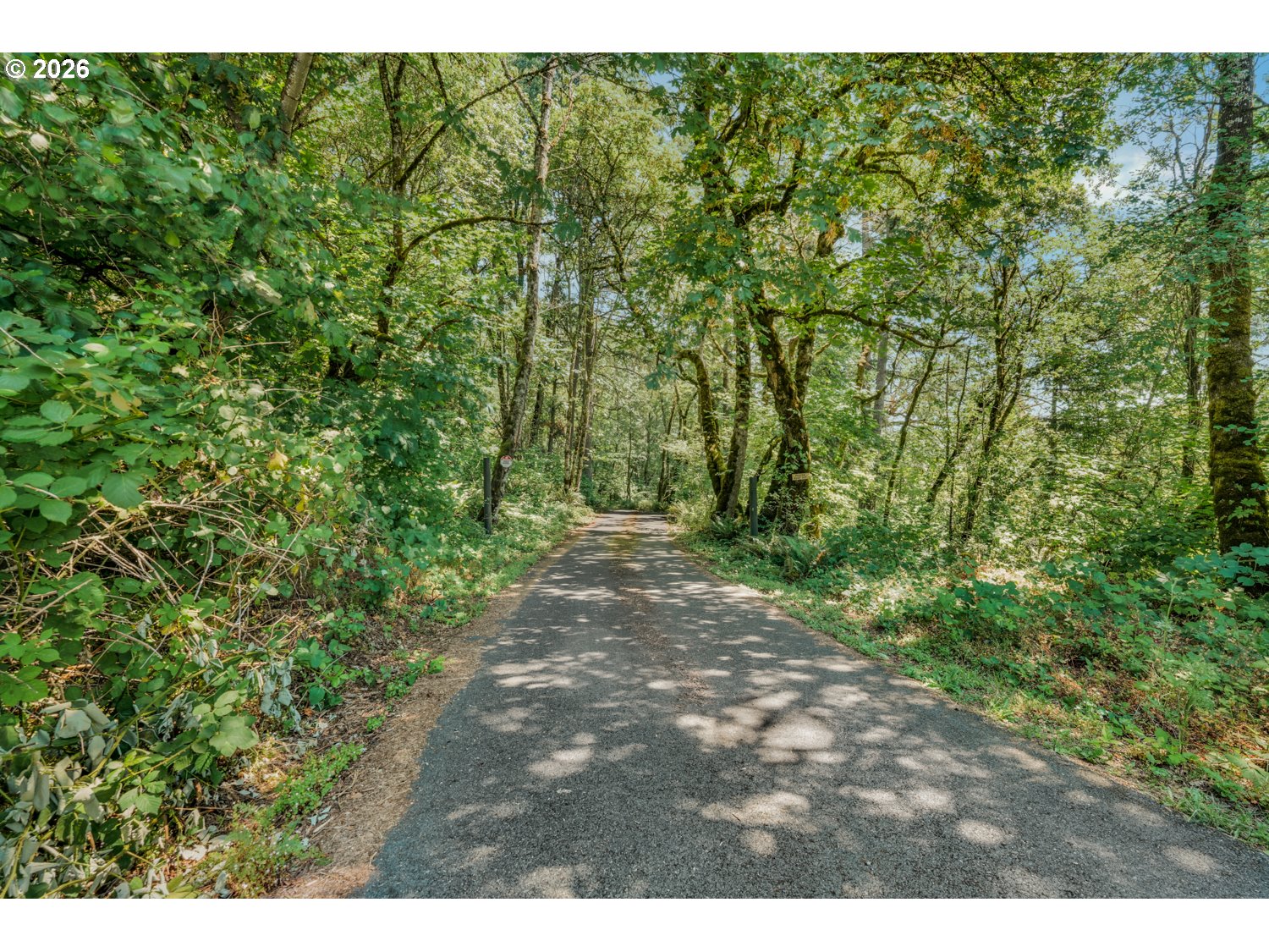 0 Northeast Ingle Road Camas, WA 98607 - Photo 13 of 17