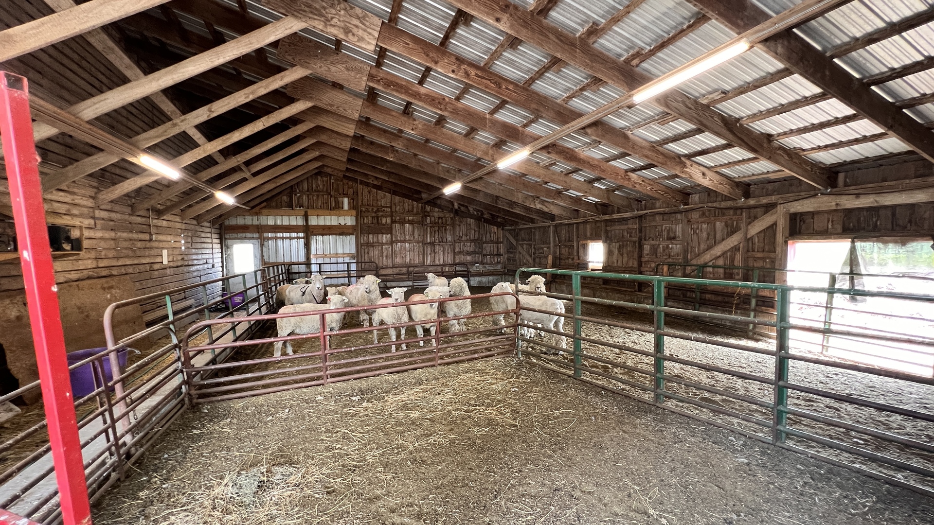23160 Carroll Road Morrison, IL 61270 - Photo 9 of 44