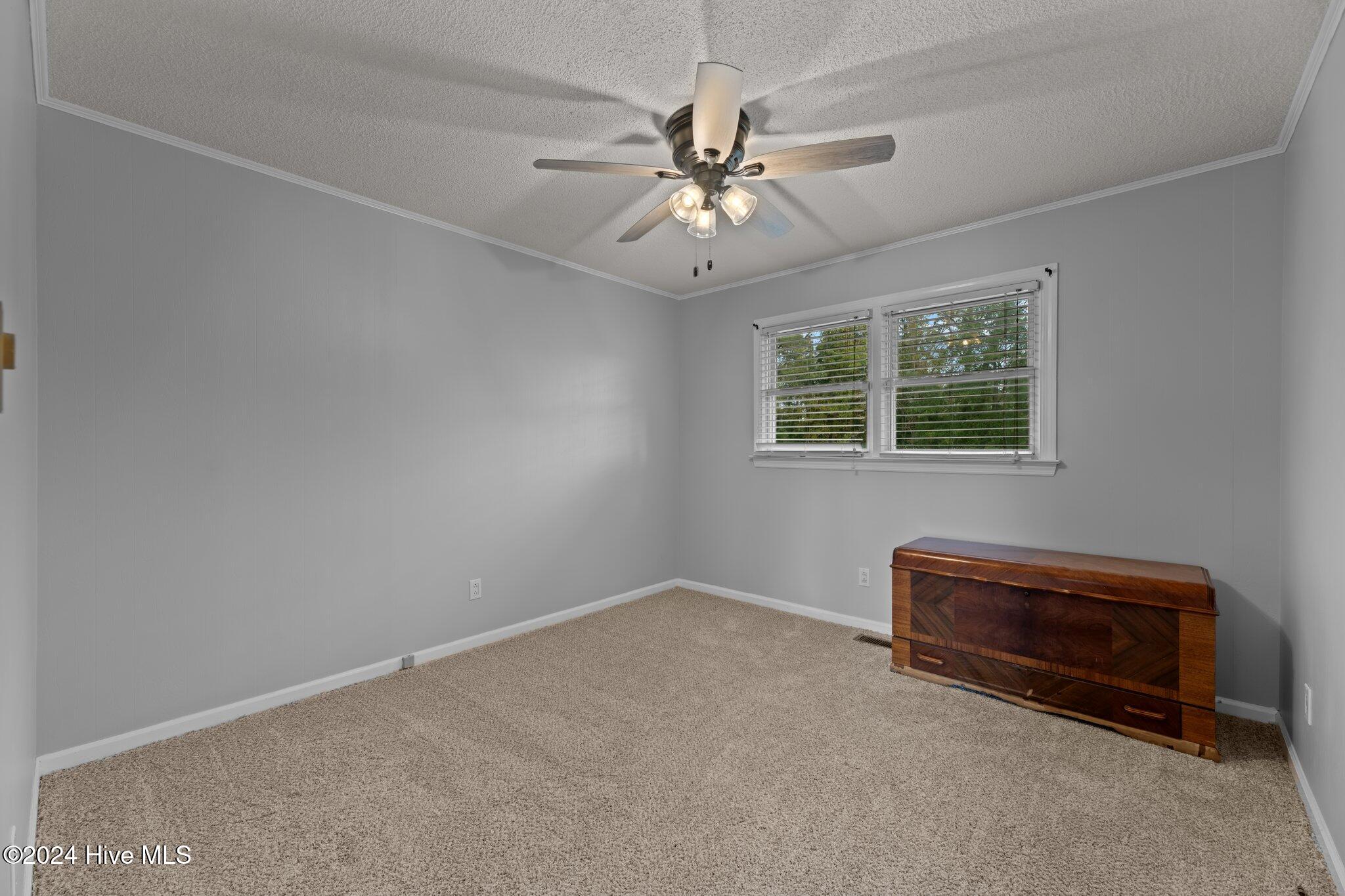 133 Mill Road Vanceboro, NC 28586 - Photo 29 of 44 Third Bedroom
