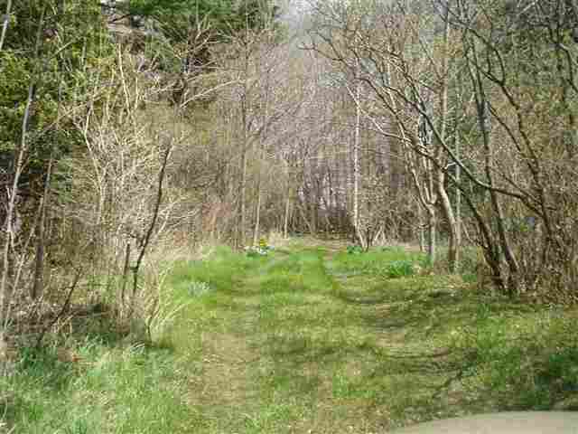 Tbd Holverson Road Applegate, MI 48401 - Photo 1 of 4 31047098.JPG