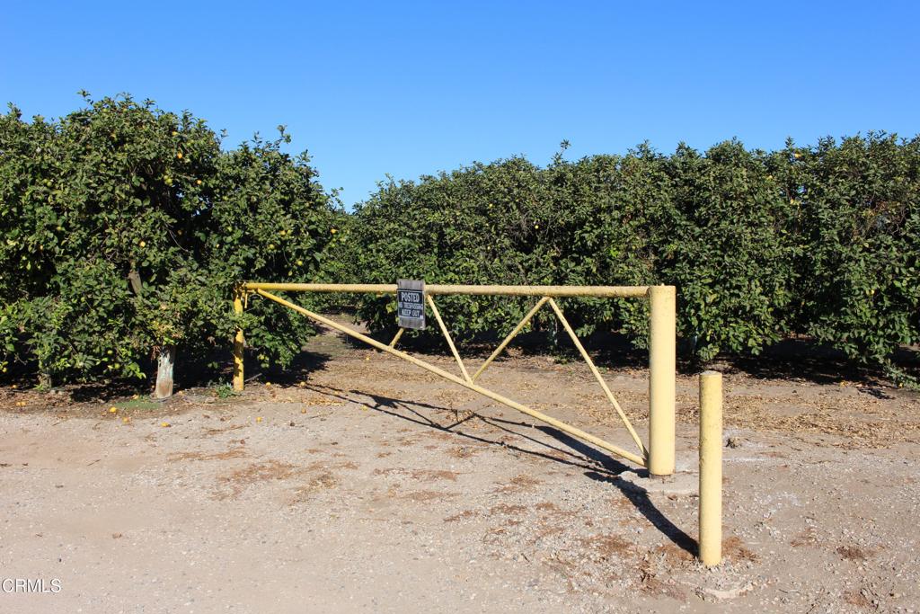 0 Price Road Somis, CA 93066 - Photo 10 of 15 IMG_5762