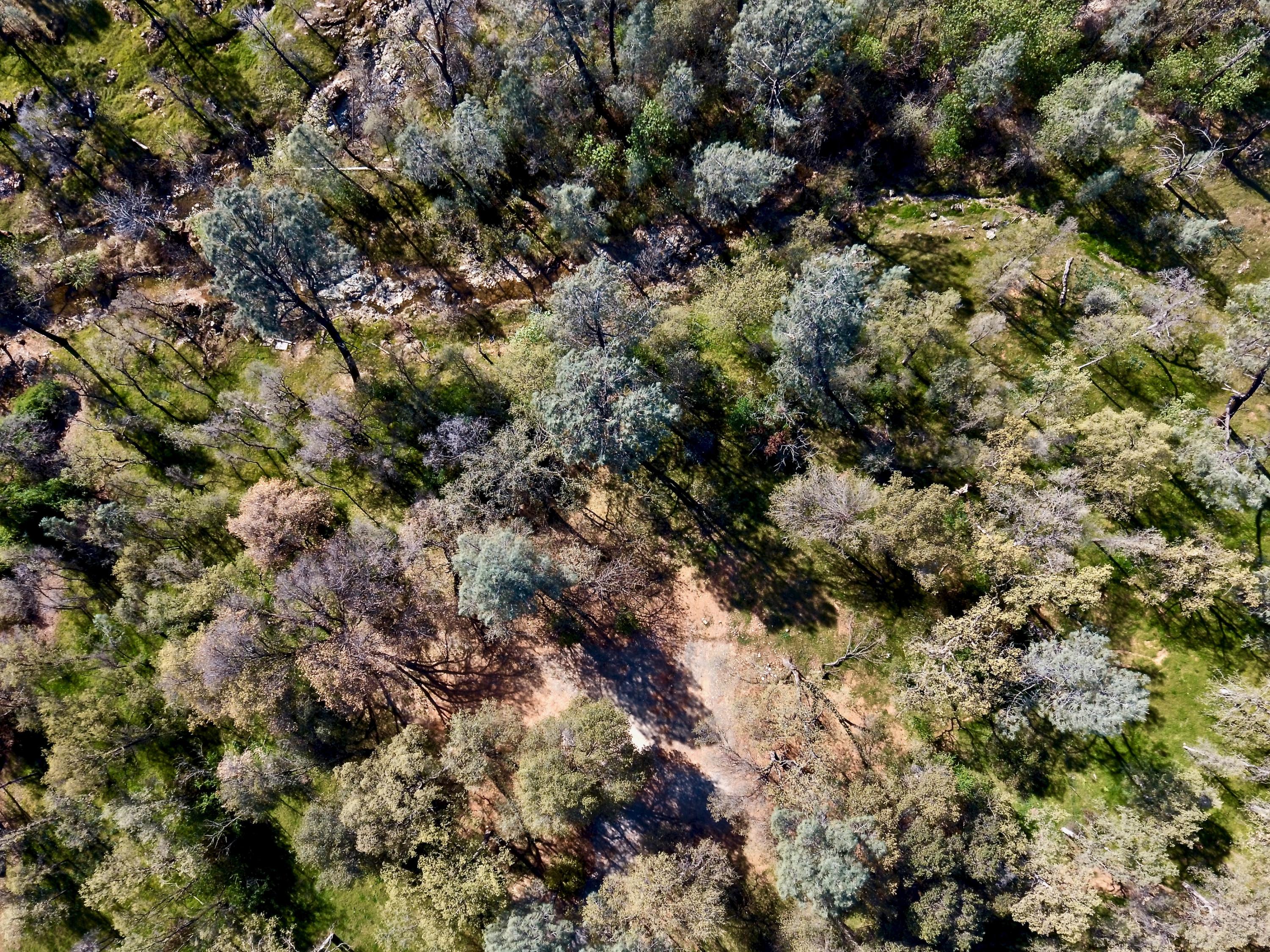 13830 Ridge View Road Redding, CA 96003 - Photo 6 of 16 DJI_0040