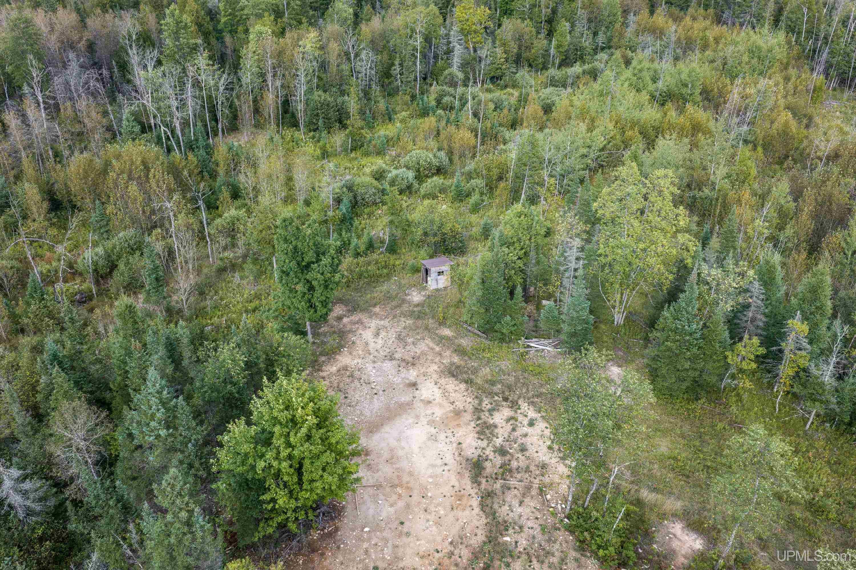 Tbd Oro Road Spalding, MI 49886 - Photo 6 of 22 Gallery Image 6