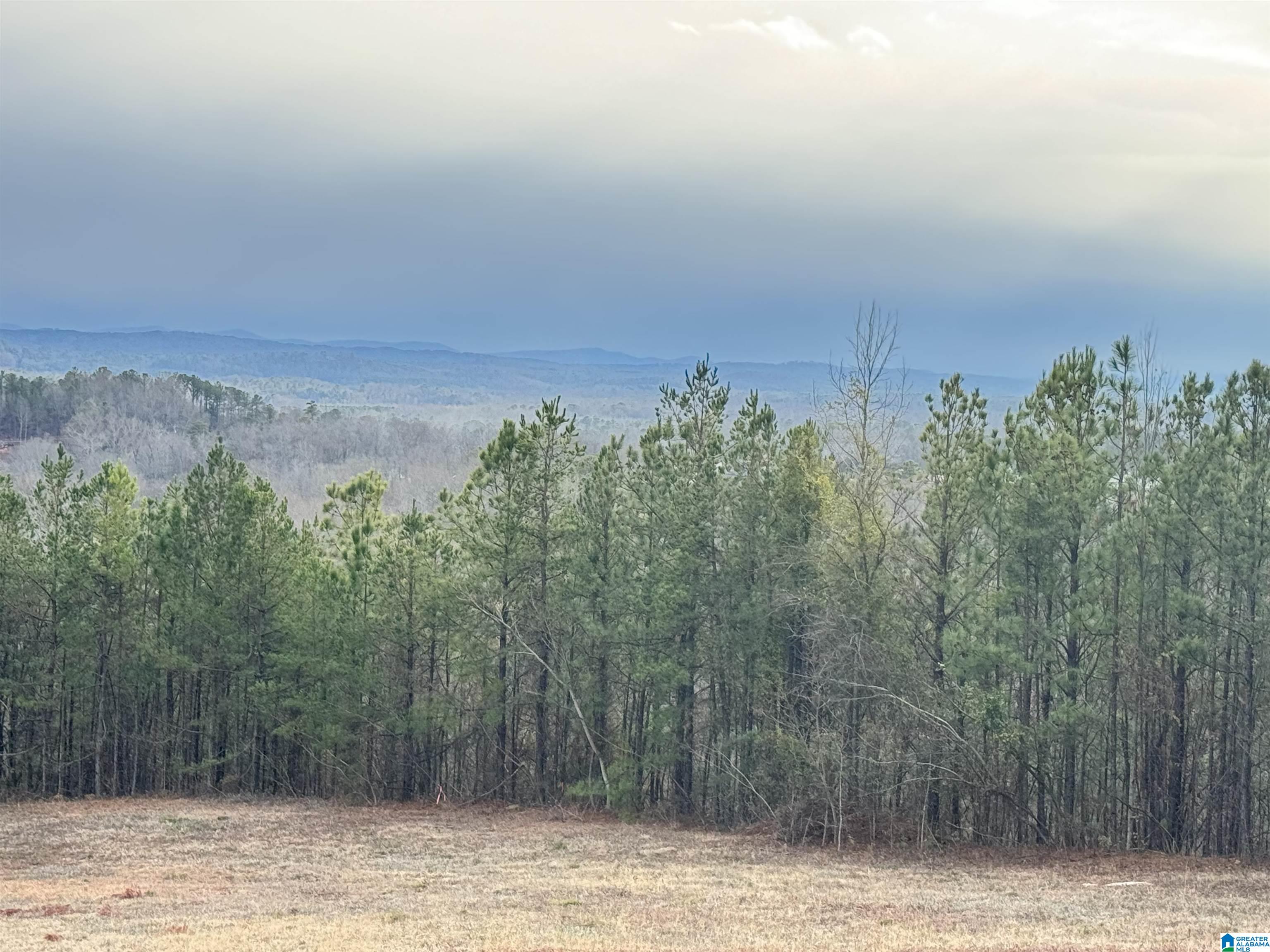 223 Mountain Ridge Road, Unit 65A AND 66A Oxford, AL 36203 - Photo 37 of 37 Gallery Image 37
