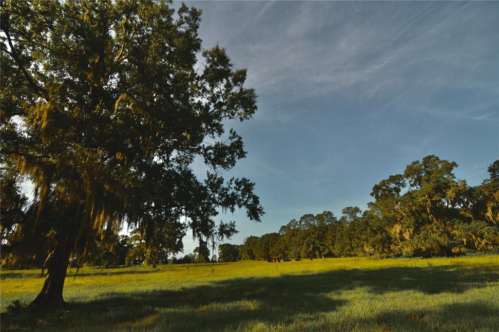 4802 Northwest 50th Road Starke, FL 32091 - Photo 57 of 75 Gallery Image 57