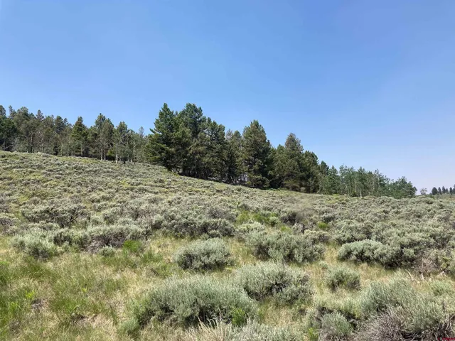 a view of a field with trees in the background