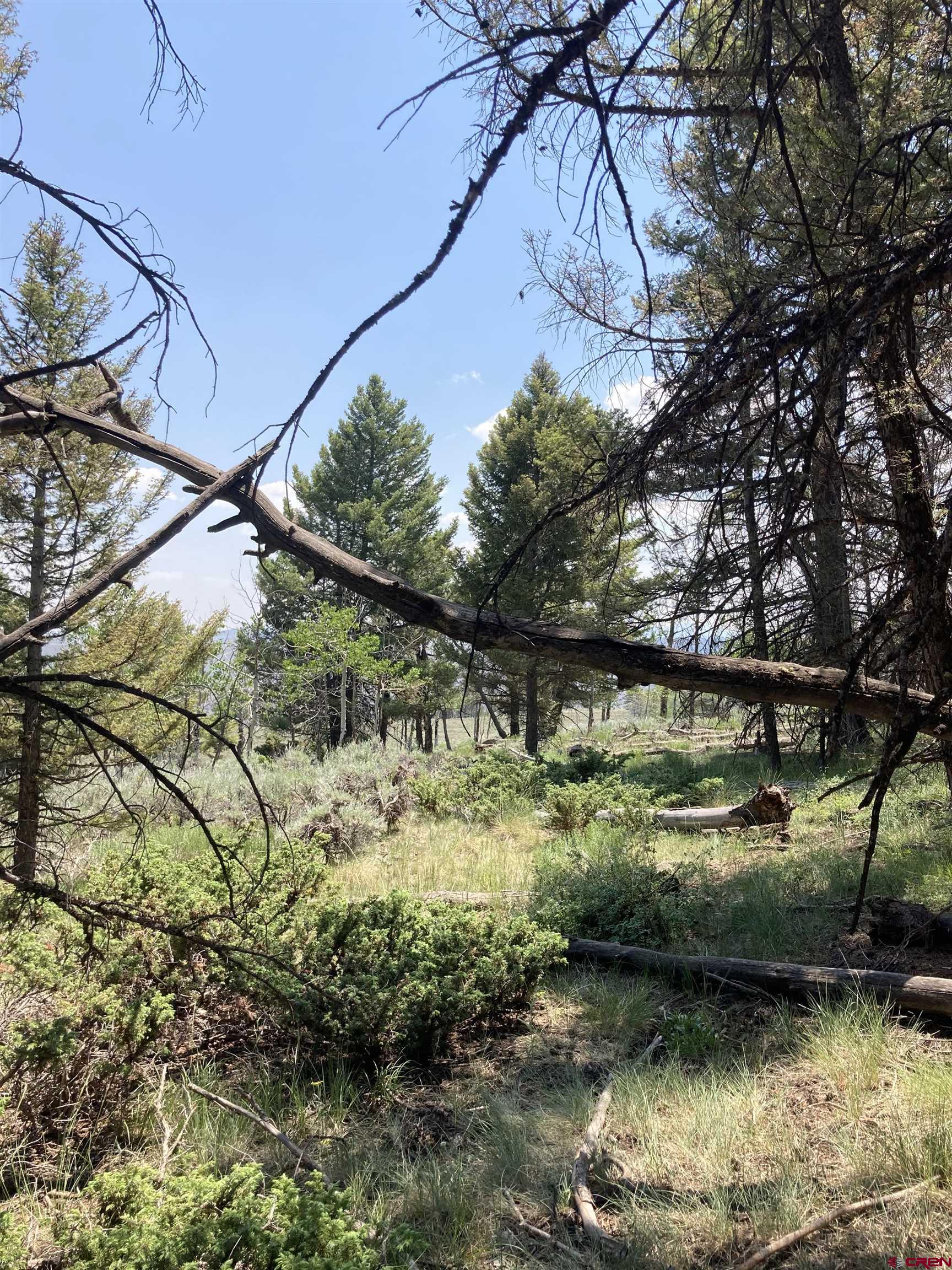 131 Mosquito Trail Powderhorn, CO 81243 - Photo 6 of 9 a view of a lake with a yard