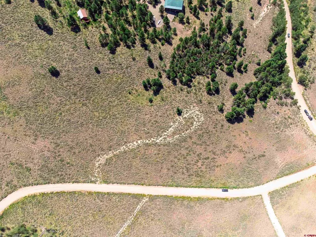 a view of a dry yard