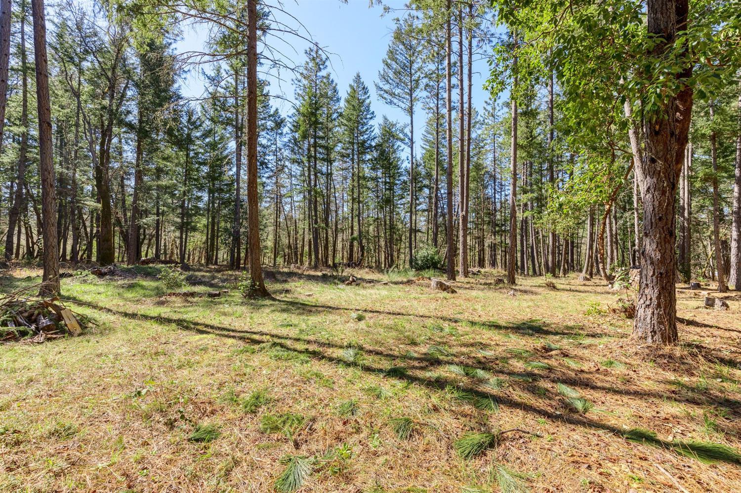 4623 Dick George Road Cave Junction, OR 97523 - Photo 24 of 26 a view of swimming pool with trees