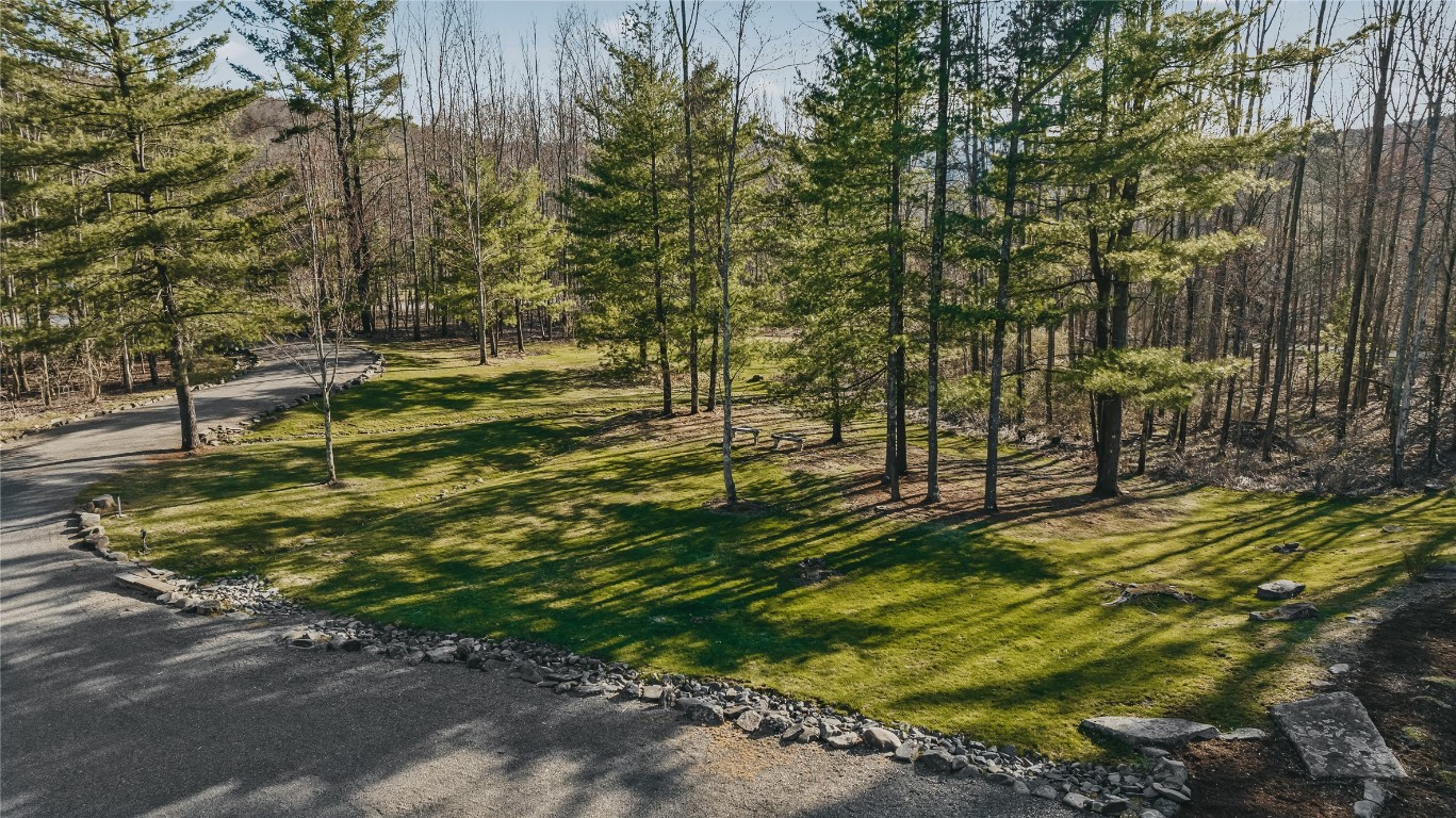 339 Foster Road Vestal, NY 13850 - Photo 45 of 48 Gallery Image 45