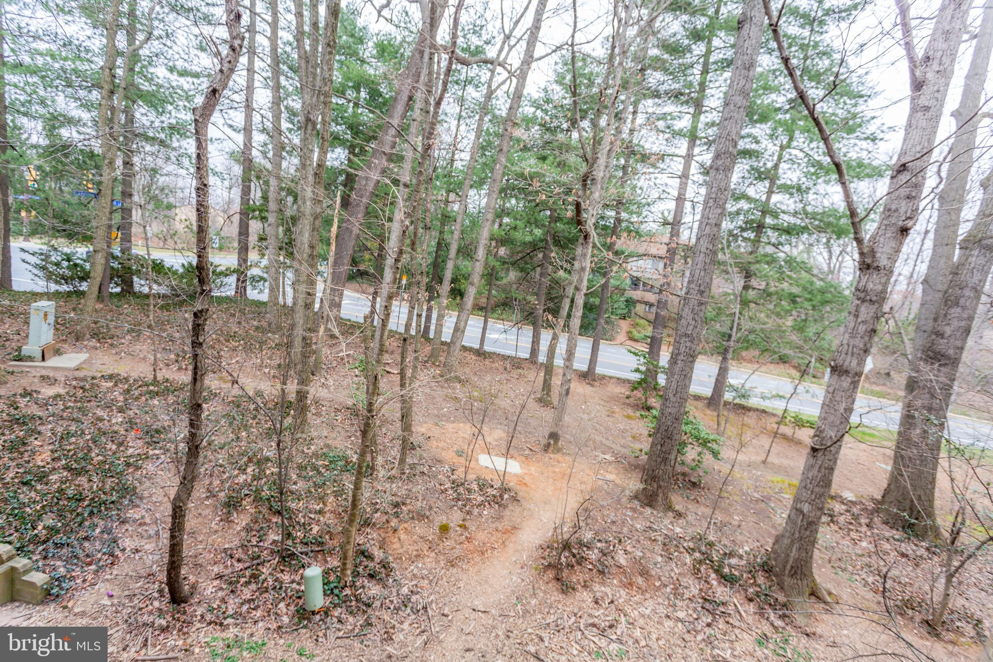 11557 Rolling Green Court, Unit 201 Reston, VA 20191 - Photo 27 of 29