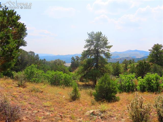 493 Cheyenne Road Florissant, CO 80816 - Photo 21 of 24 Gallery Image 21