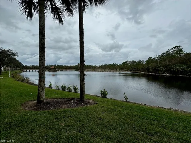 a view of a lake with a big yard and palm trees