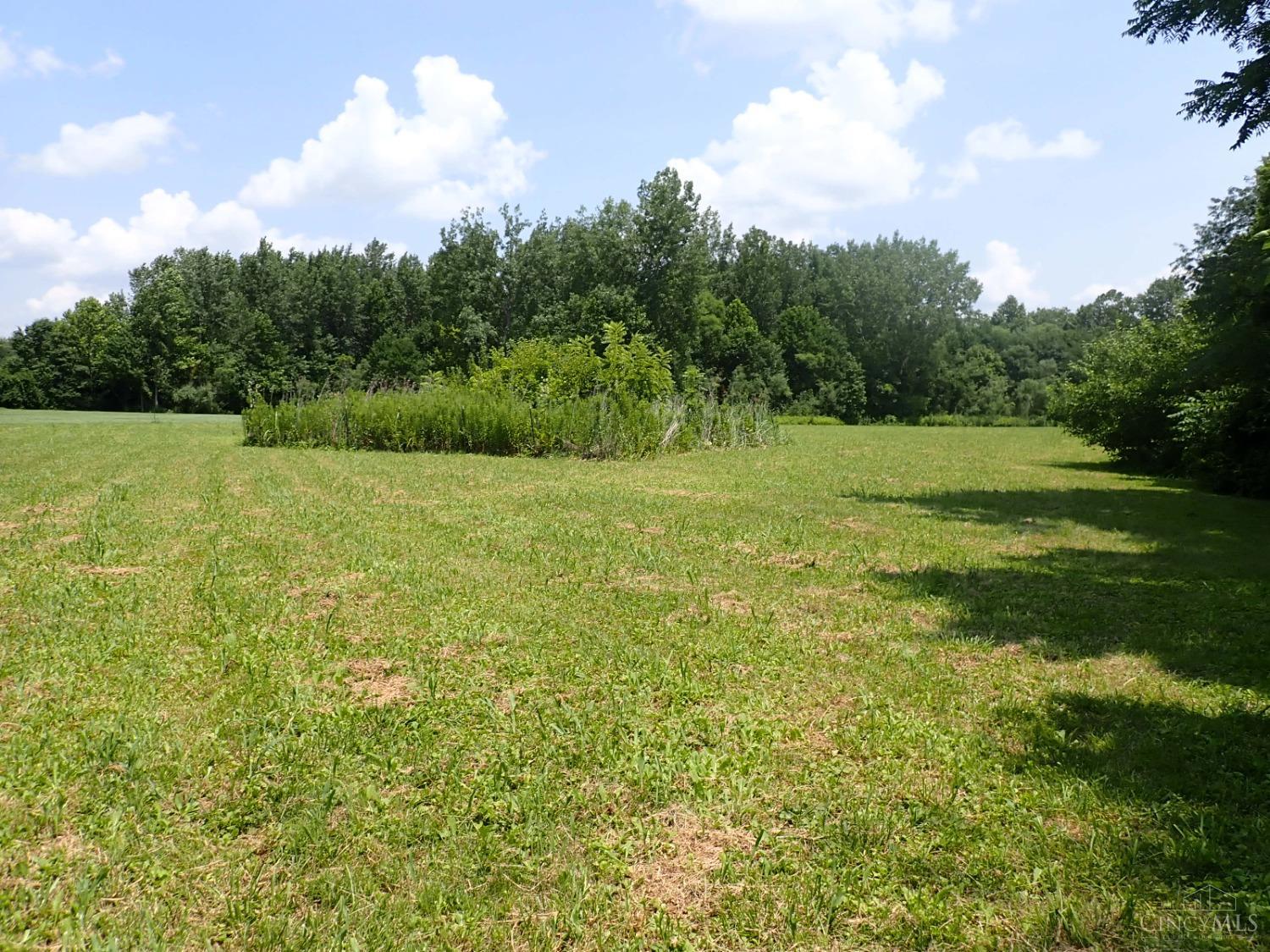 7850 Morris Road Hamilton, OH 45011 - Photo 50 of 52 Looking toward the tree thicket that leads to the creek at rear of the property.