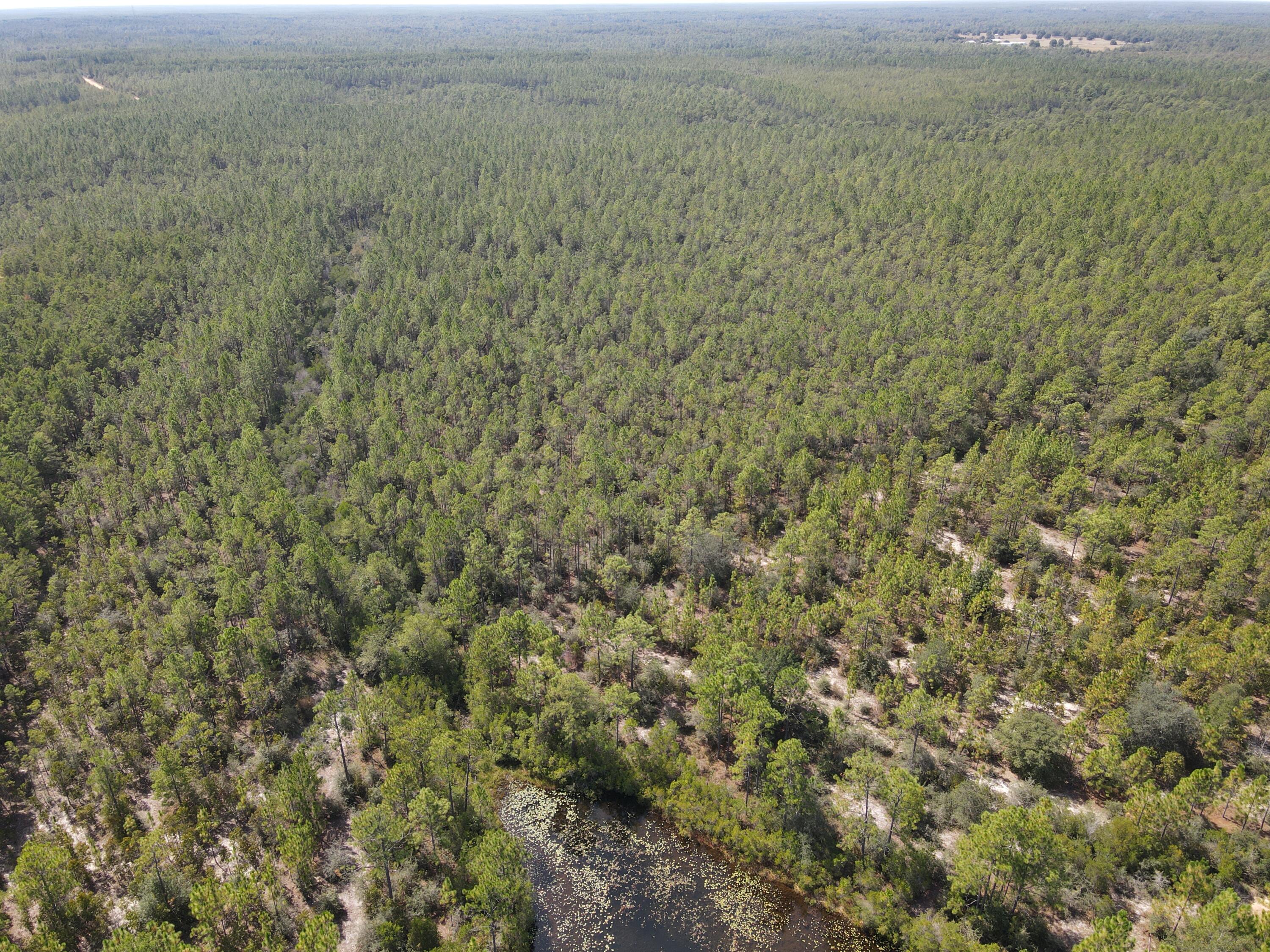 2450-acres King Lake Road DeFuniak Springs, FL 32433 - Photo 11 of 44 a view of a green field