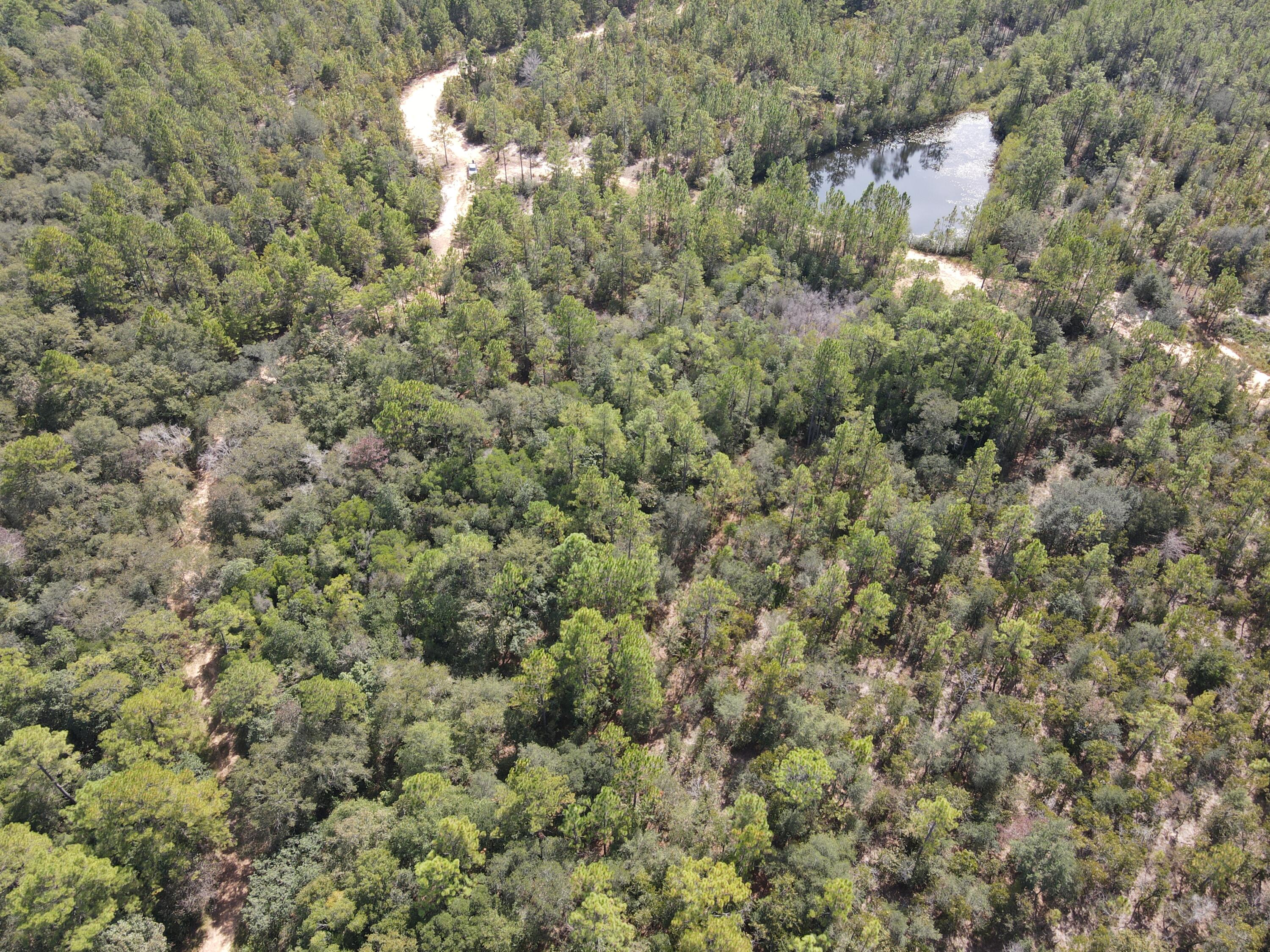 2450-acres King Lake Road DeFuniak Springs, FL 32433 - Photo 13 of 44
