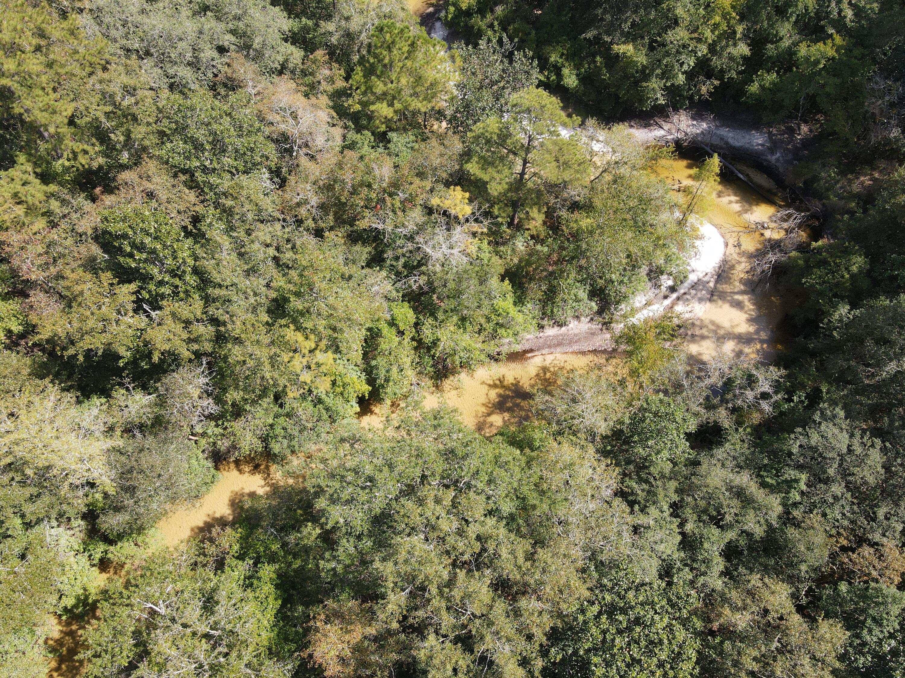 2450-acres King Lake Road DeFuniak Springs, FL 32433 - Photo 14 of 44 a view of a yard with plants and trees