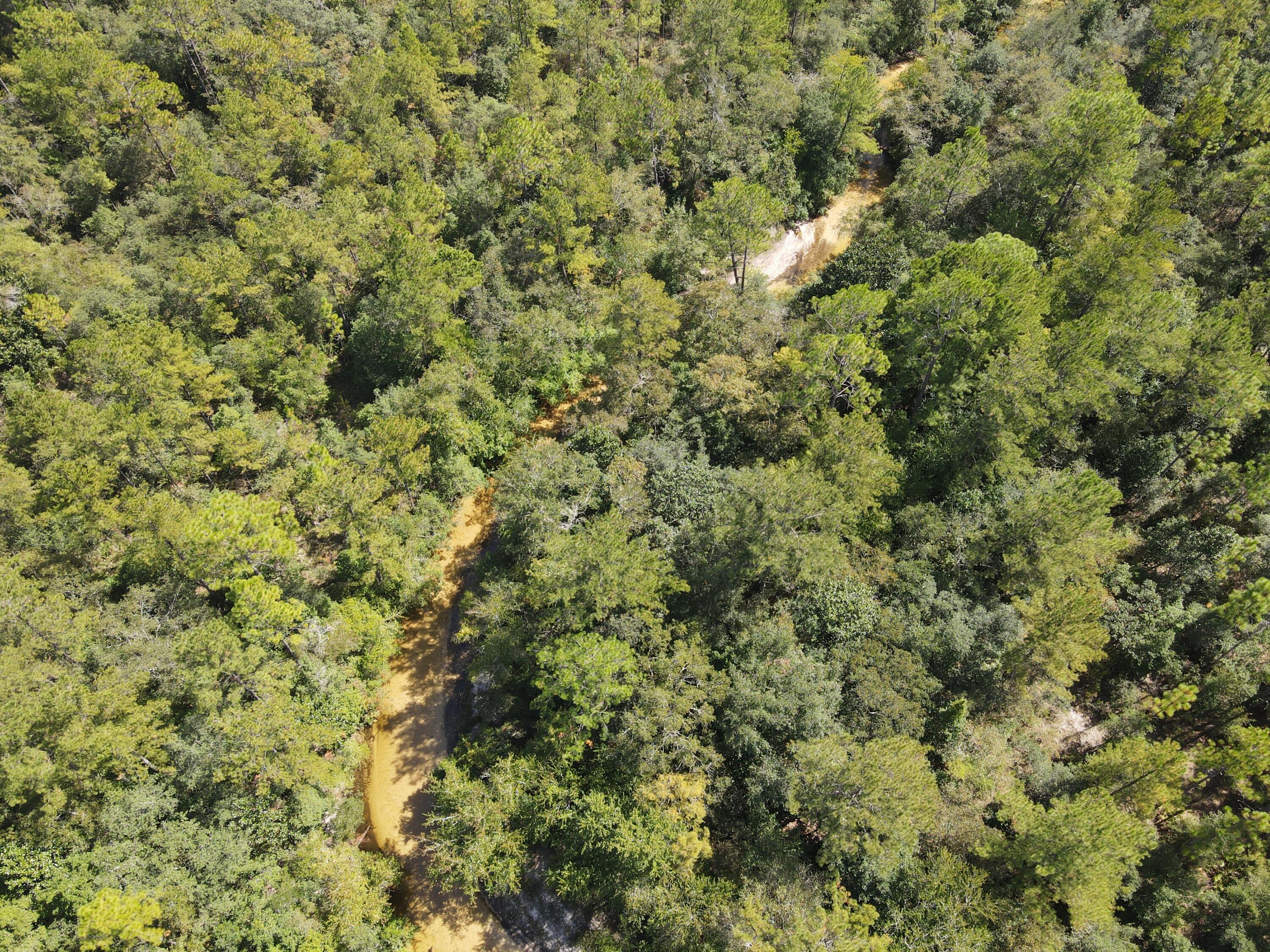 2450-acres King Lake Road DeFuniak Springs, FL 32433 - Photo 18 of 44