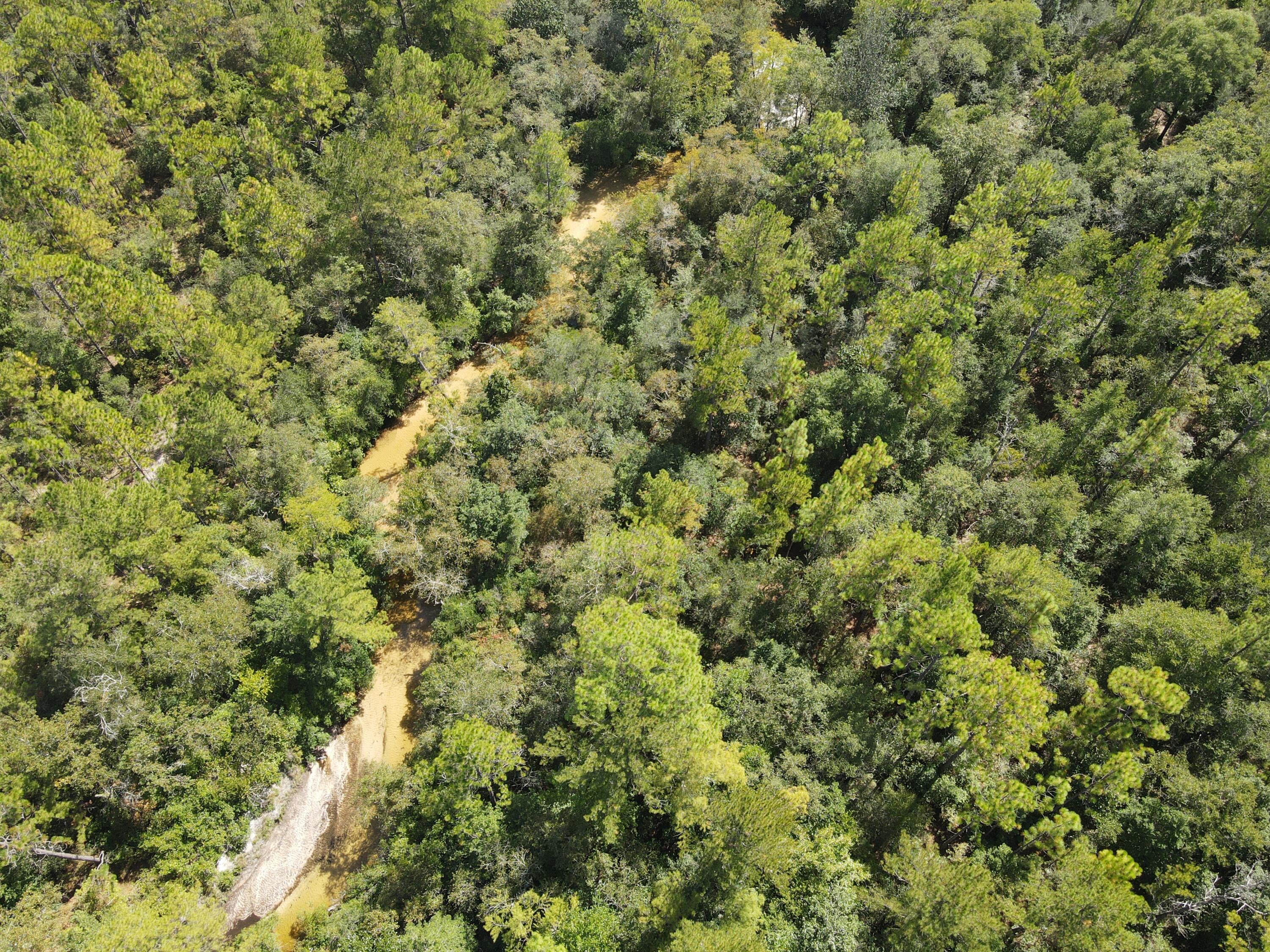 2450-acres King Lake Road DeFuniak Springs, FL 32433 - Photo 19 of 44 a view of a large yard with lots of green space