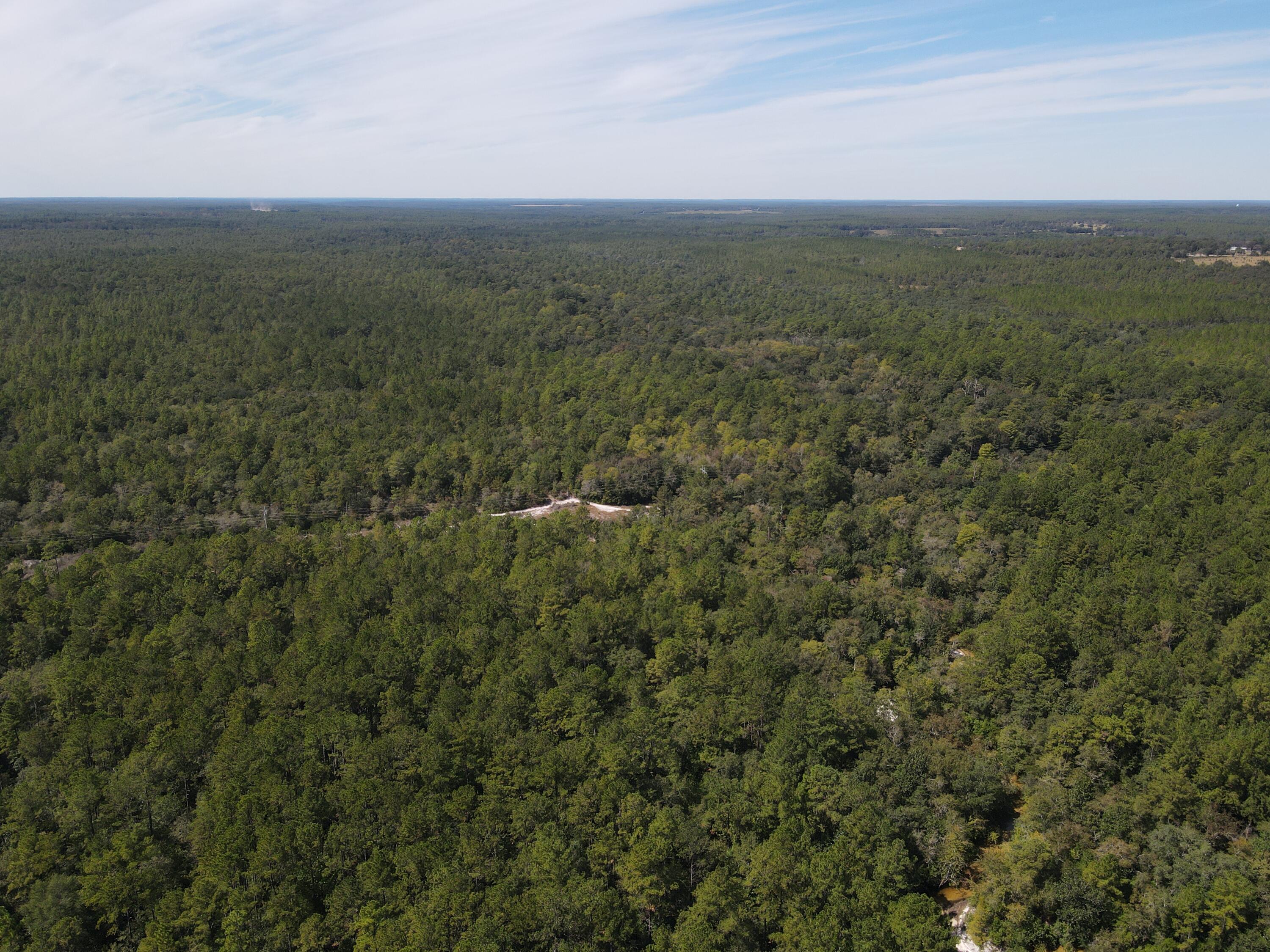 2450-acres King Lake Road DeFuniak Springs, FL 32433 - Photo 20 of 44 a view of a city with an outdoor space