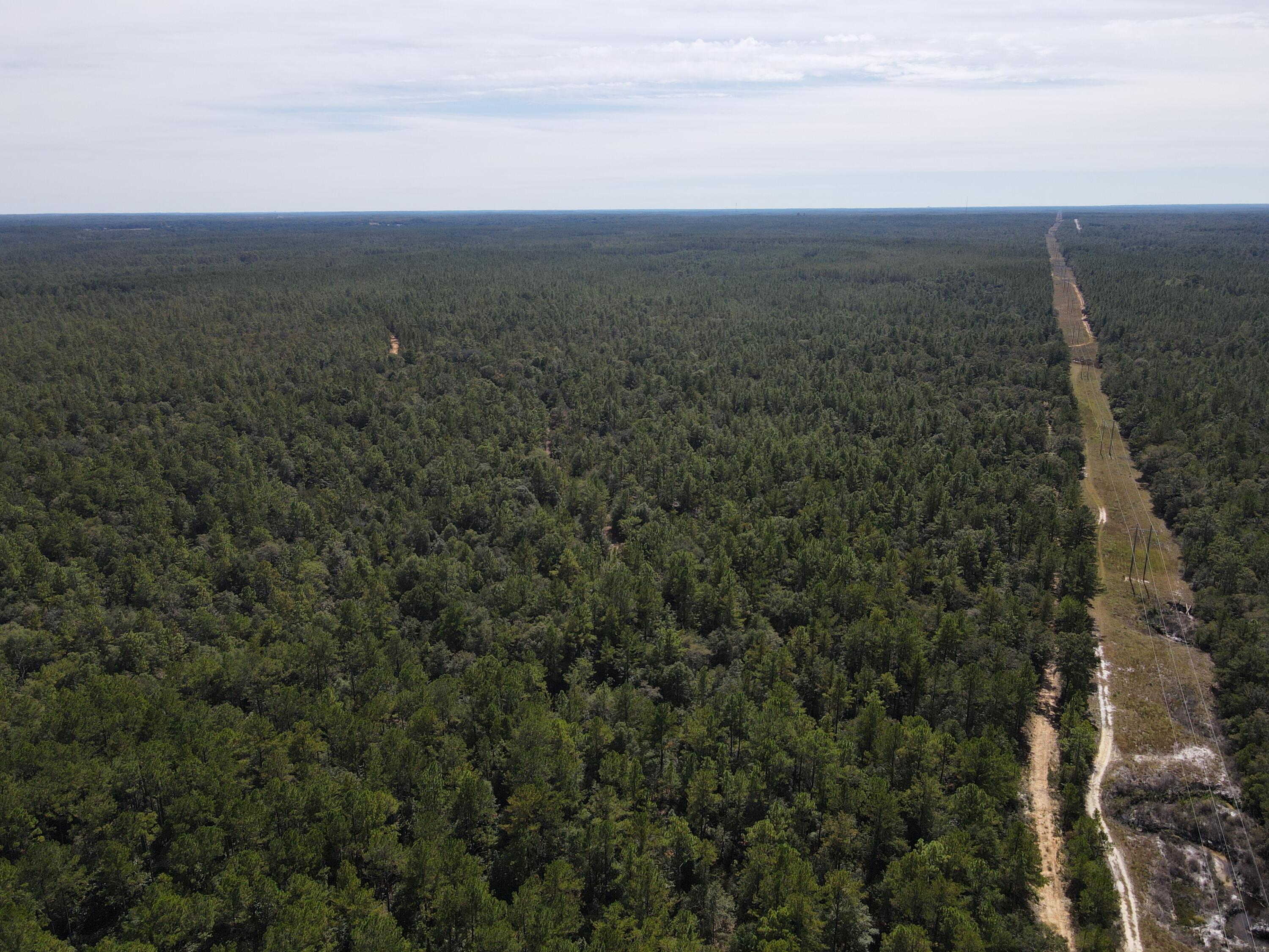 2450-acres King Lake Road DeFuniak Springs, FL 32433 - Photo 21 of 44 a view of a yard with an outdoor space