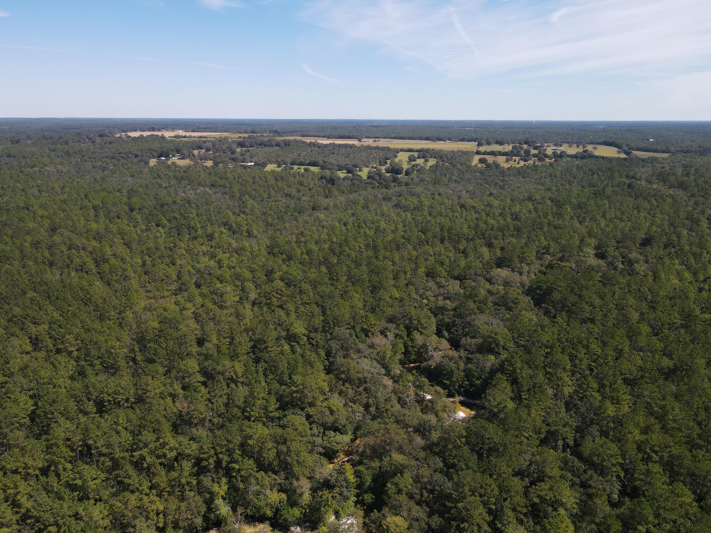 2450-acres King Lake Road DeFuniak Springs, FL 32433 - Photo 22 of 44 a view of a city with lush green forest