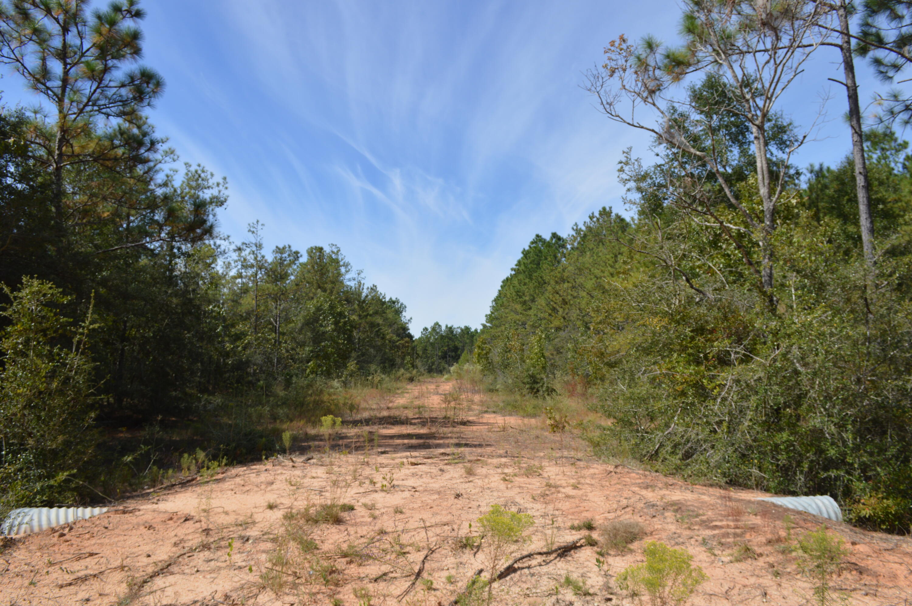 2450-acres King Lake Road DeFuniak Springs, FL 32433 - Photo 27 of 44 a view of yard covered with snow in outdoor space