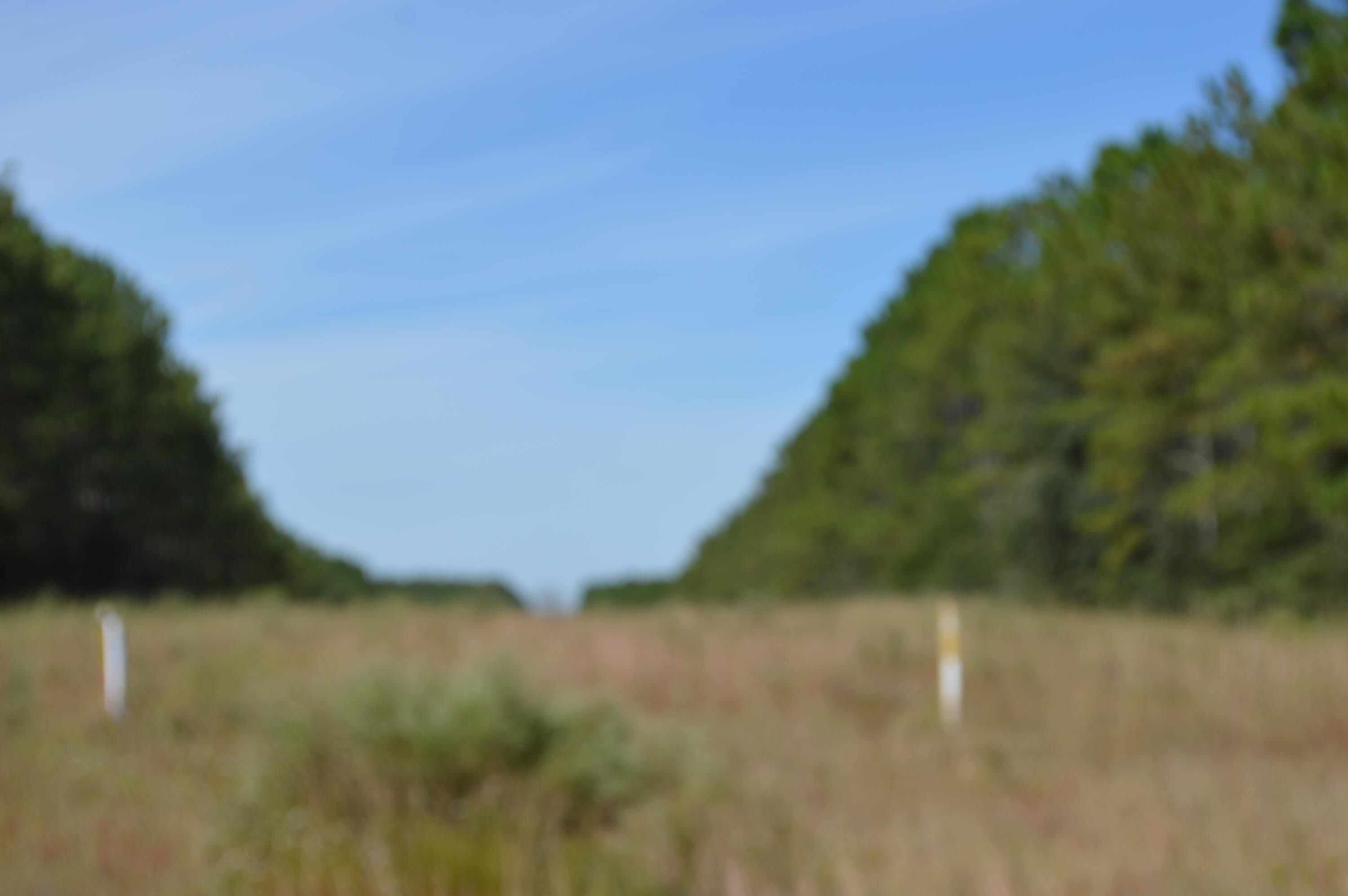 2450-acres King Lake Road DeFuniak Springs, FL 32433 - Photo 40 of 44 a view of a lake