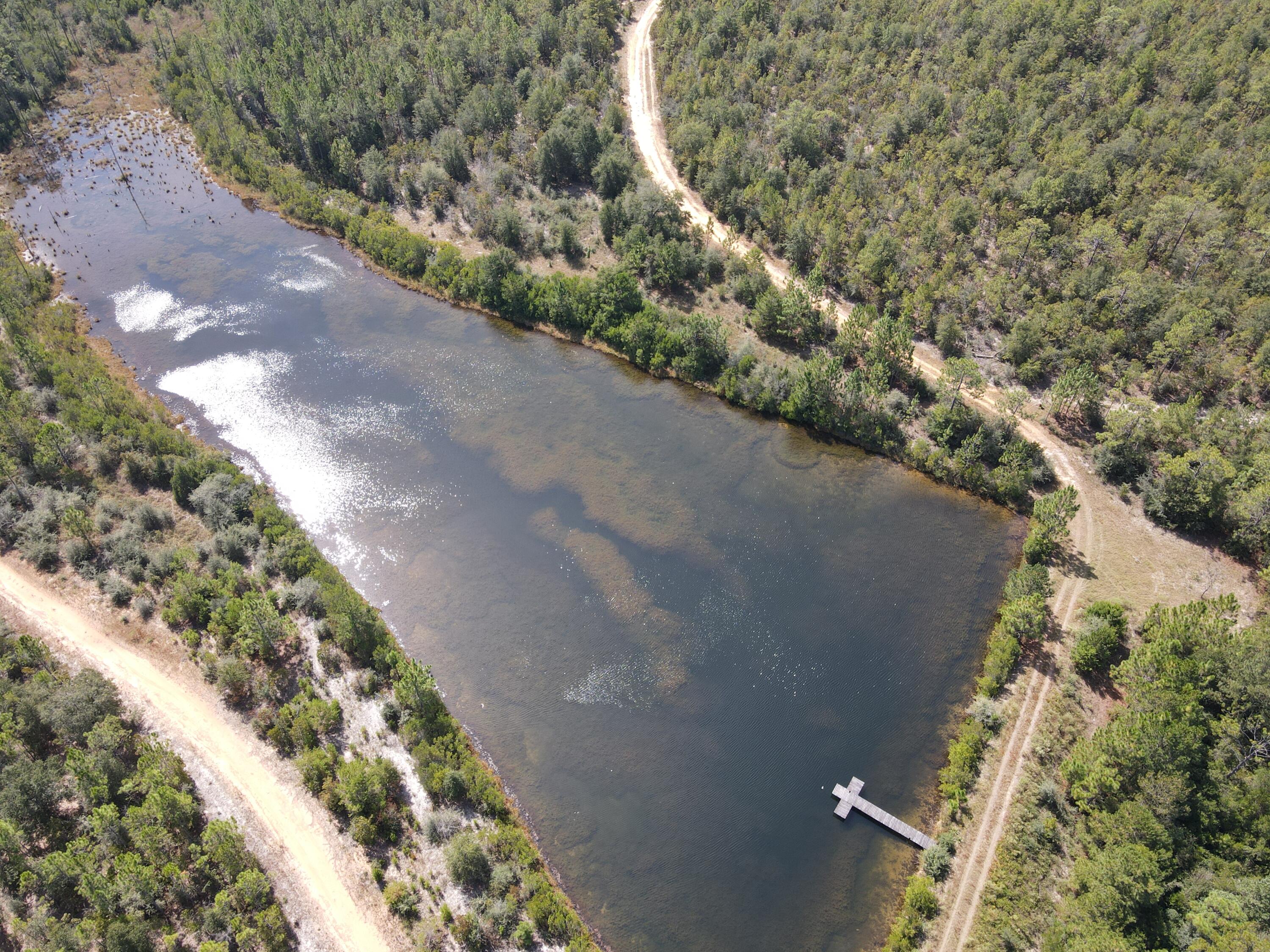 2450-acres King Lake Road DeFuniak Springs, FL 32433 - Photo 4 of 44 a view of a garden with a pathway