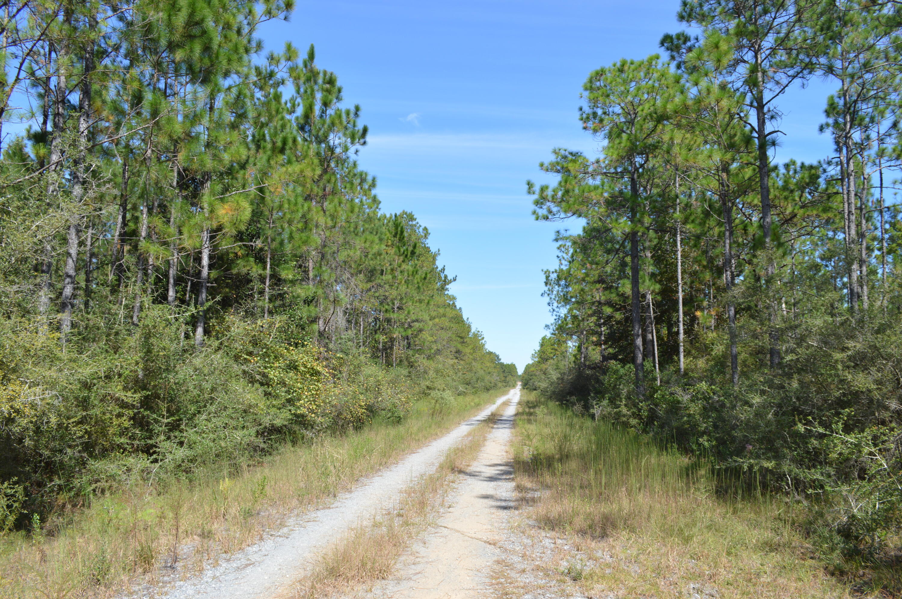 2450-acres King Lake Road DeFuniak Springs, FL 32433 - Photo 41 of 44 a view of a lake from a yard