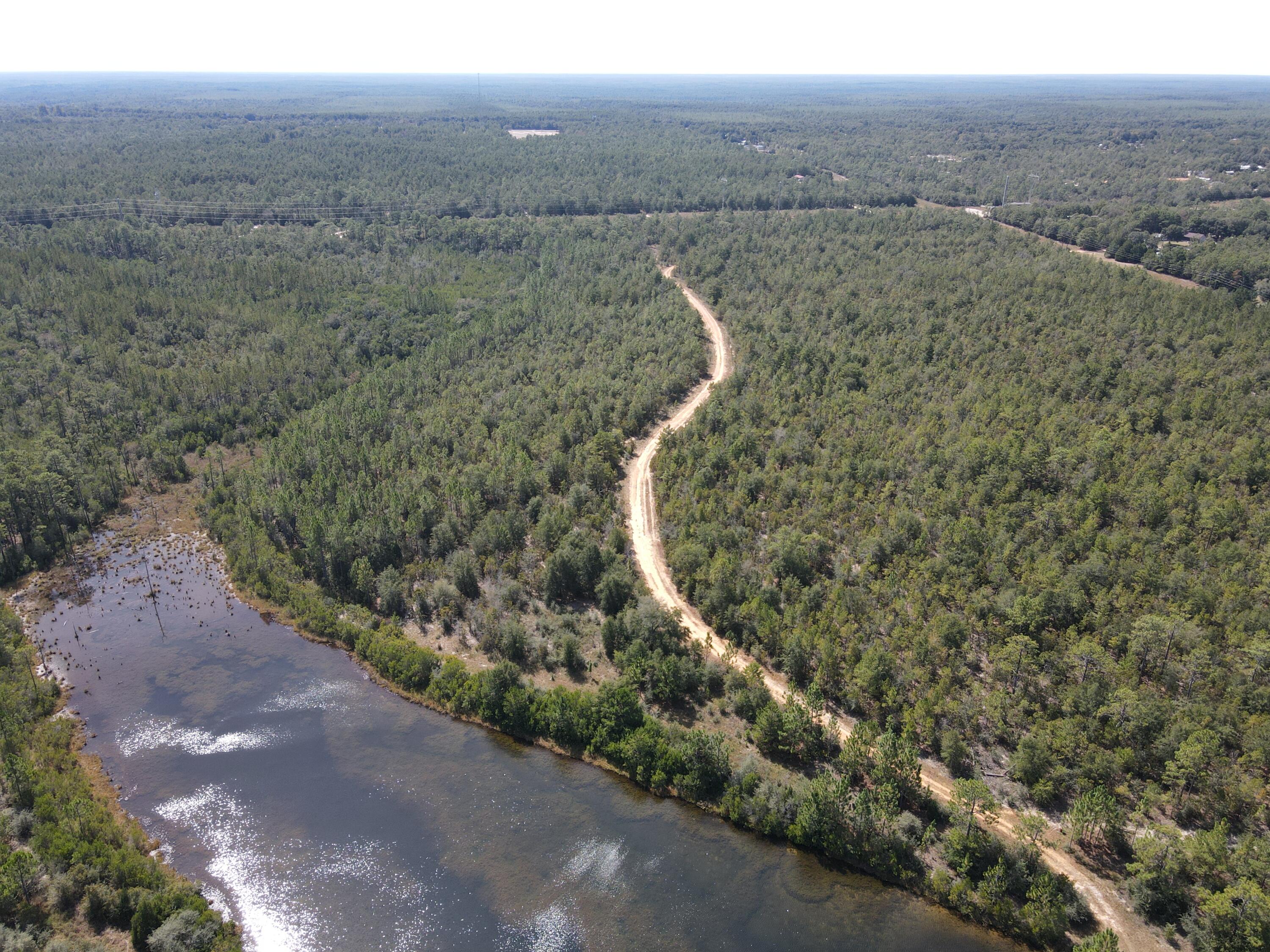 2450-acres King Lake Road DeFuniak Springs, FL 32433 - Photo 5 of 44 a view of a dry yard with large trees