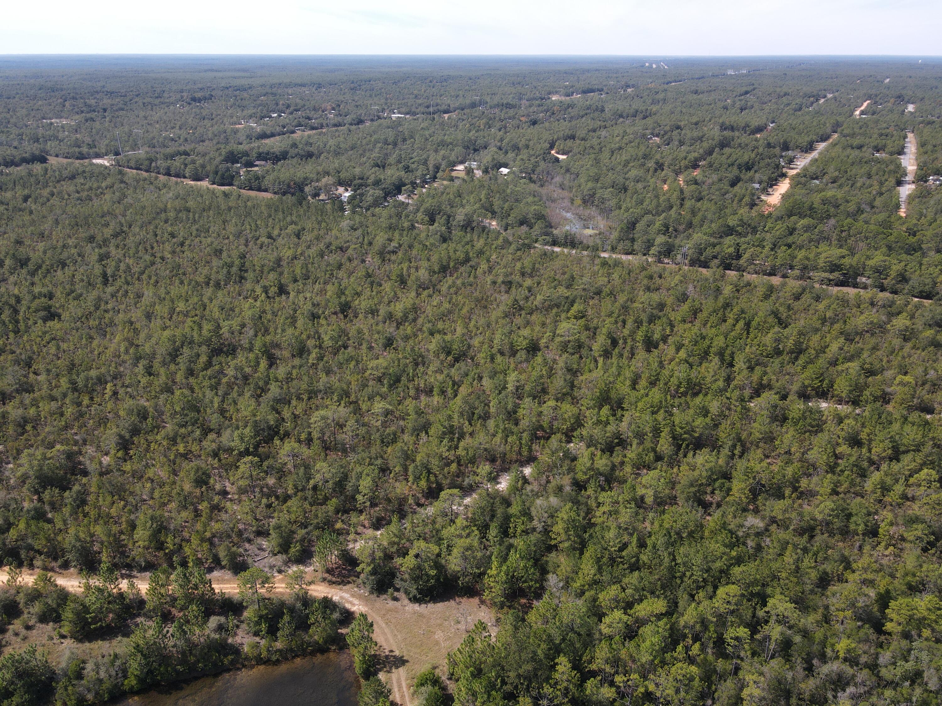 2450-acres King Lake Road DeFuniak Springs, FL 32433 - Photo 6 of 44 an aerial view of house with yard and mountain view in back