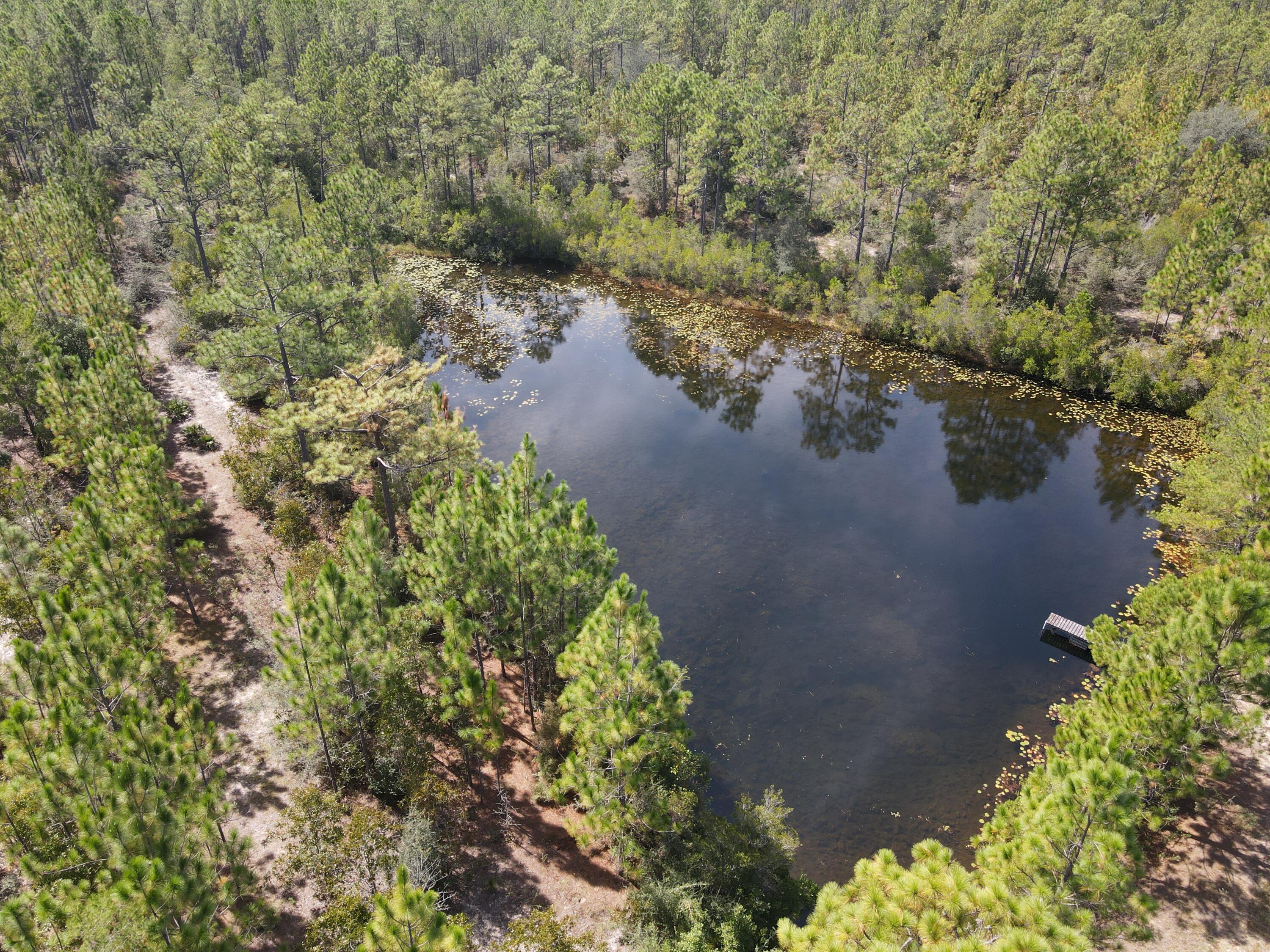 2450-acres King Lake Road DeFuniak Springs, FL 32433 - Photo 7 of 44 a view of a lake with a tree
