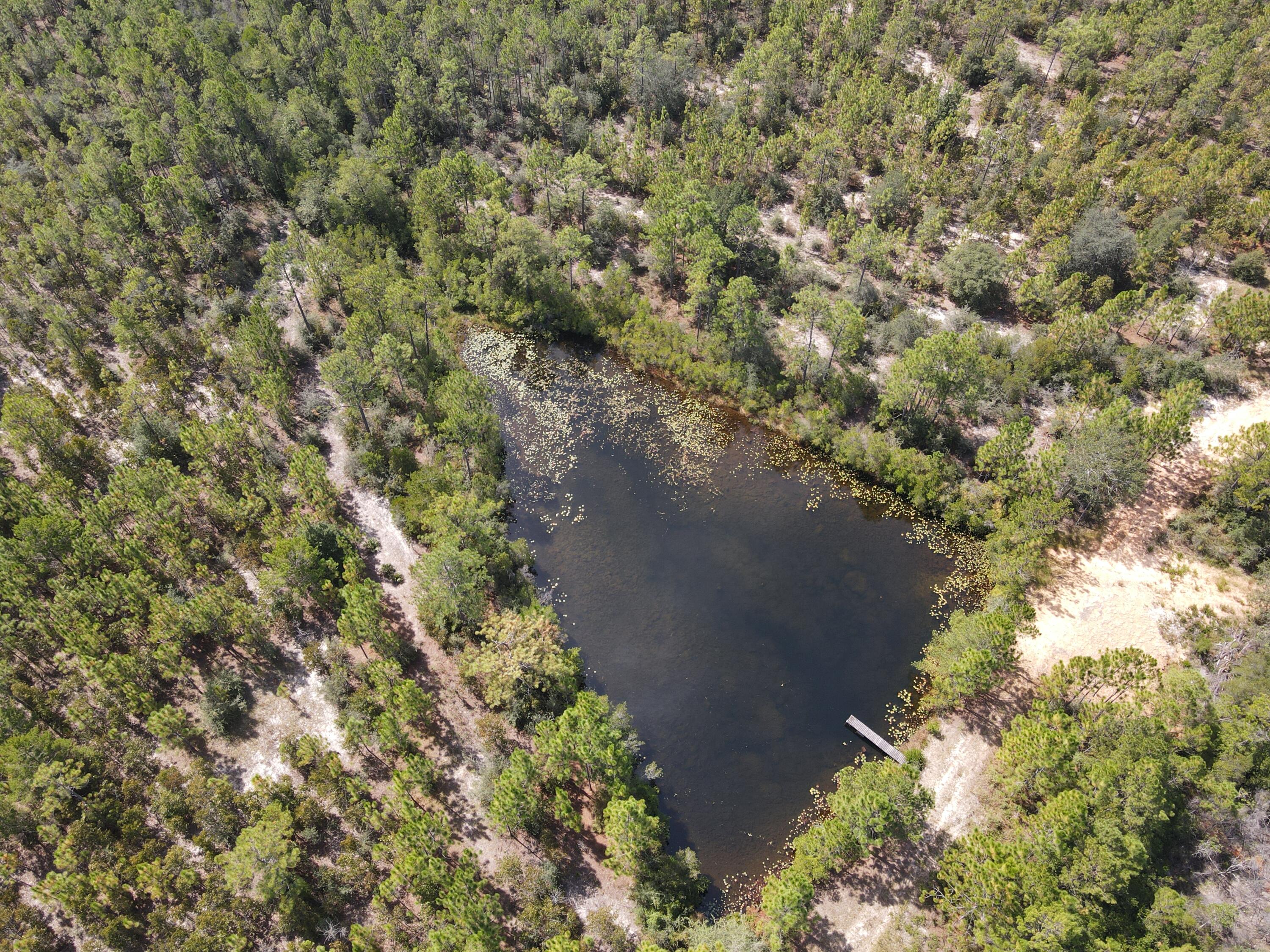 2450-acres King Lake Road DeFuniak Springs, FL 32433 - Photo 8 of 44 a view of a city with lush green forest