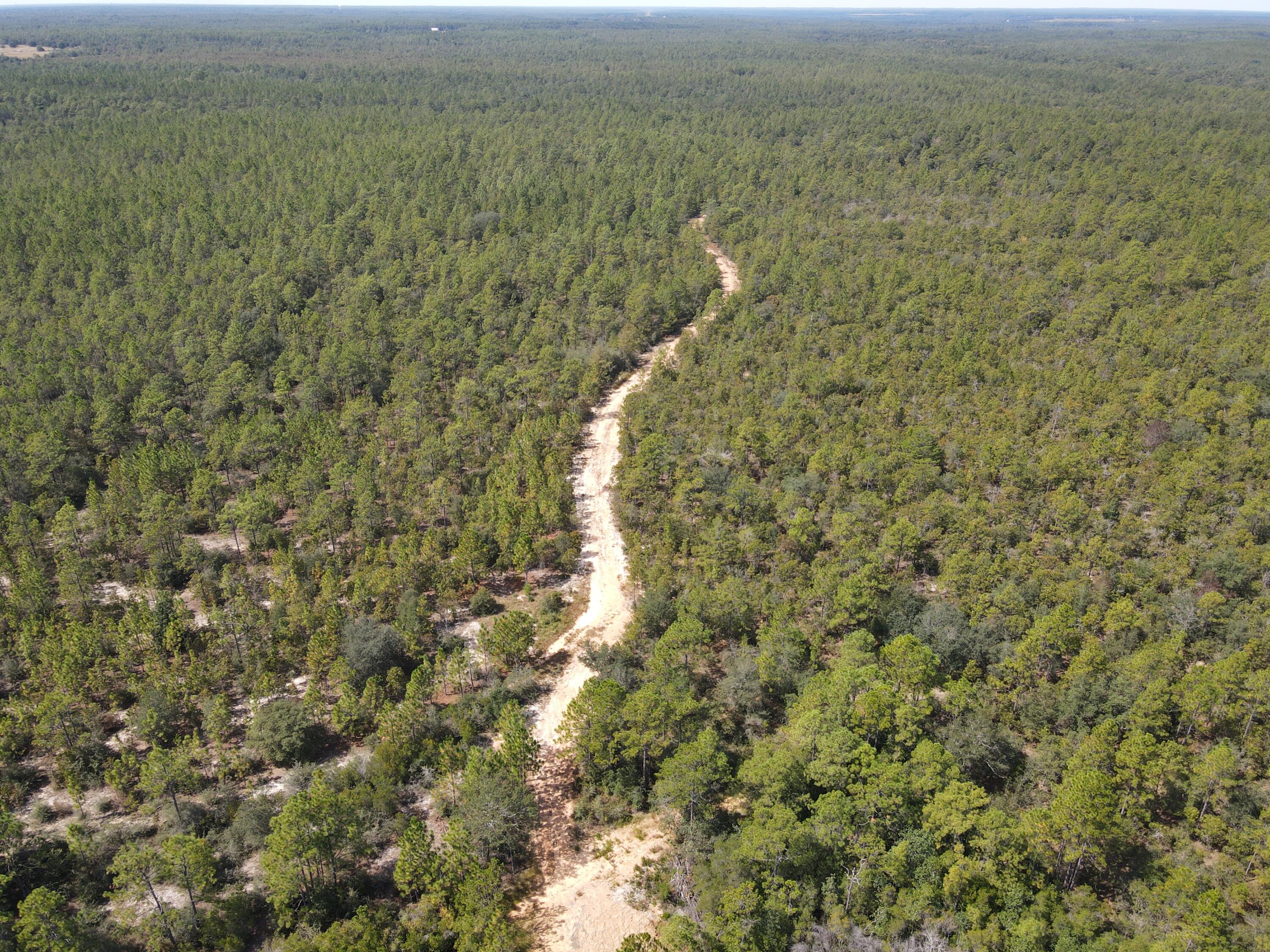 2450-acres King Lake Road DeFuniak Springs, FL 32433 - Photo 9 of 44 a view of a city