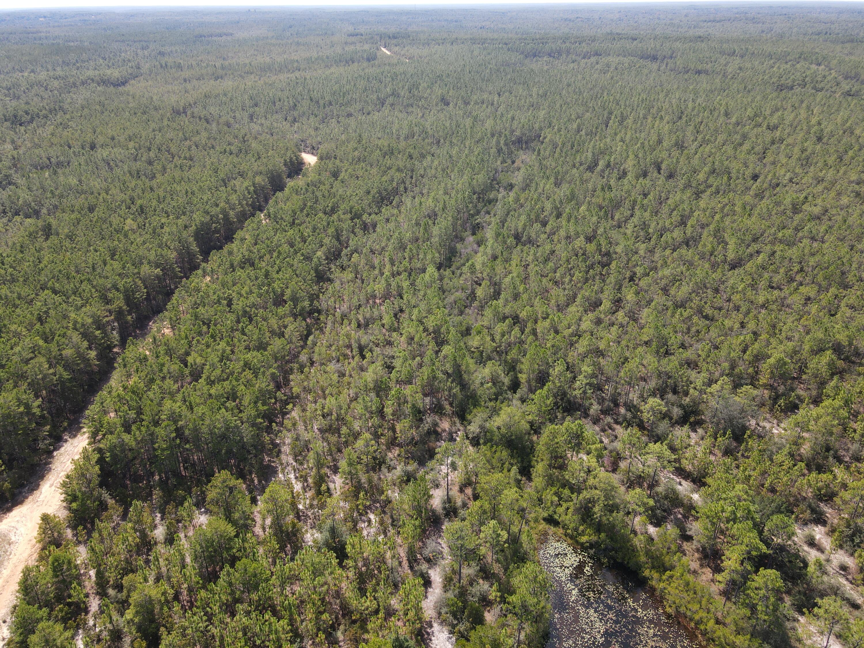 2450-acres King Lake Road DeFuniak Springs, FL 32433 - Photo 10 of 44 a view of a green field