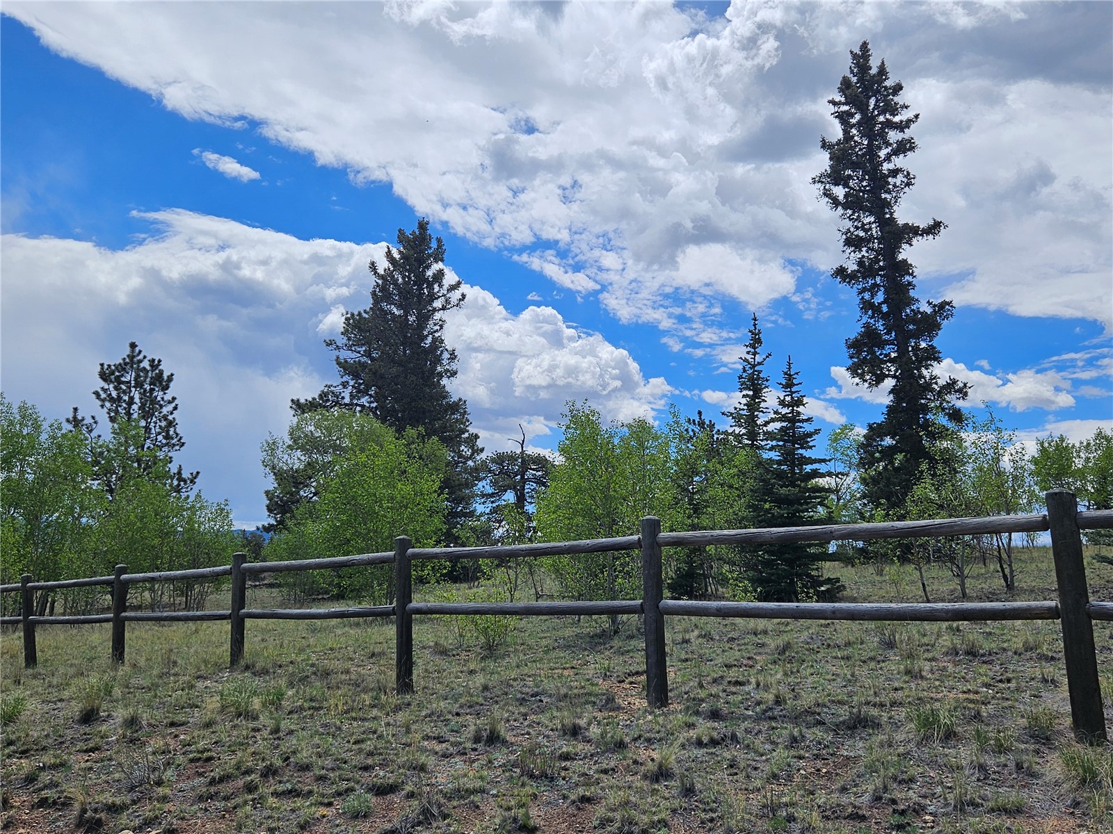 412 Smith And Wesson Road Como, CO 80432 - Photo 3 of 50