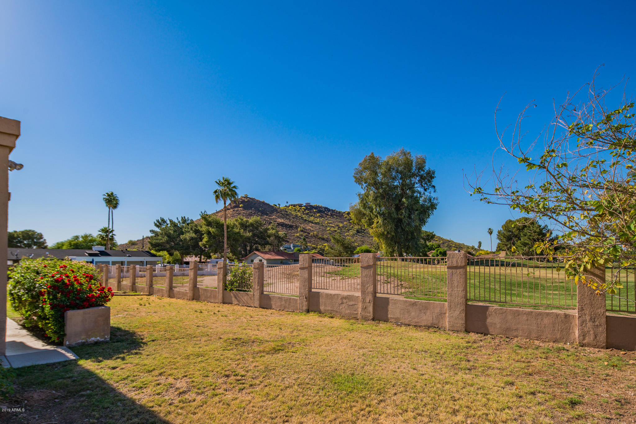 736 West Thunderbird Road Phoenix, AZ 85023 - Photo 8 of 25 Backyard1