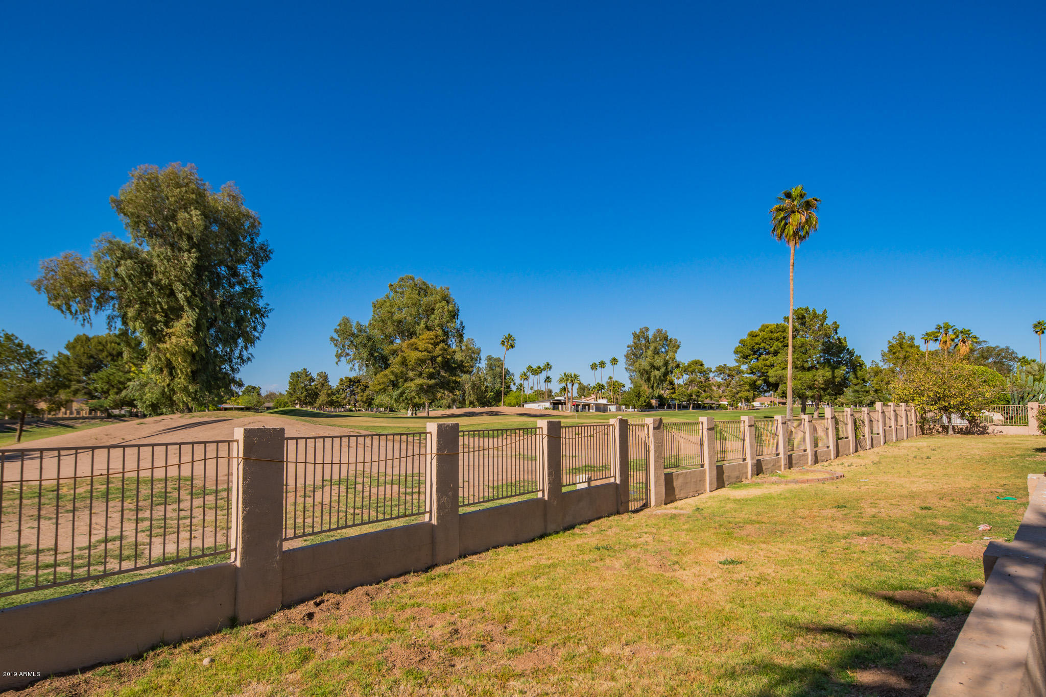 736 West Thunderbird Road Phoenix, AZ 85023 - Photo 10 of 25 Backyard3