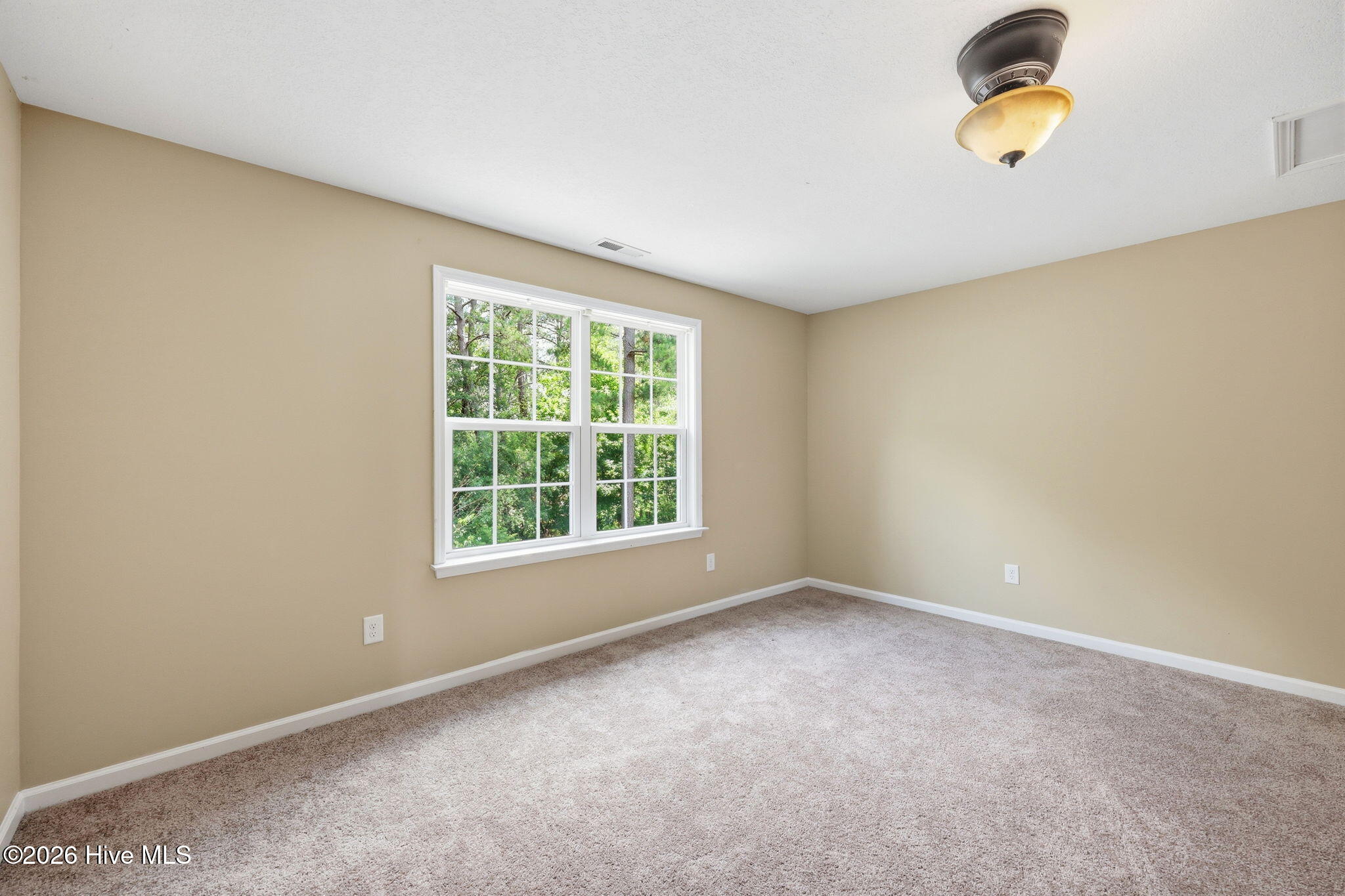 250 West Lake Road Raeford, NC 28376 - Photo 15 of 31 33-web-or-mls-IMG_3099