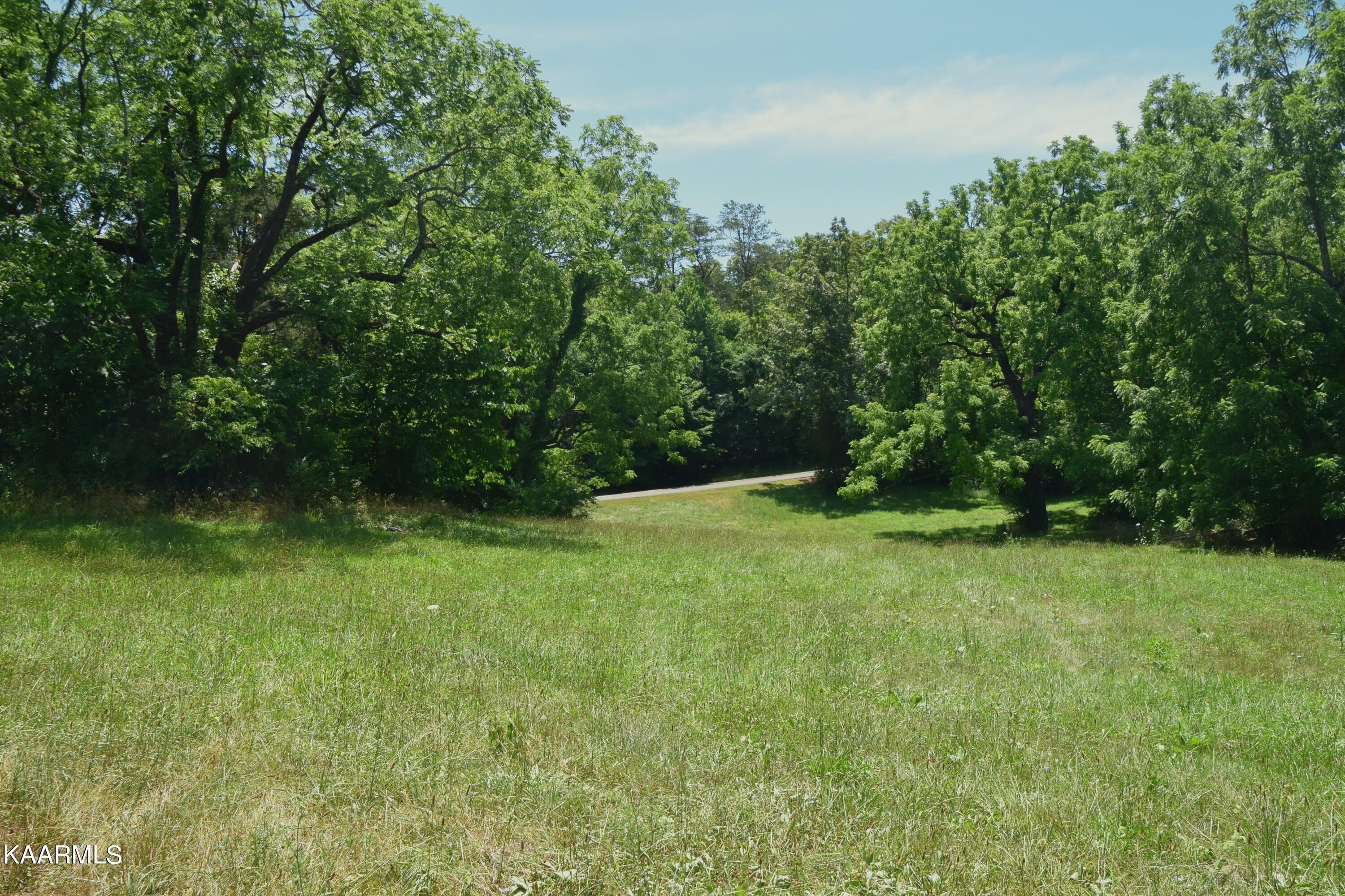 Tradition Lane Sevierville, TN 37862 - Photo 2 of 8 Tradition Lot Pic 3 (1)
