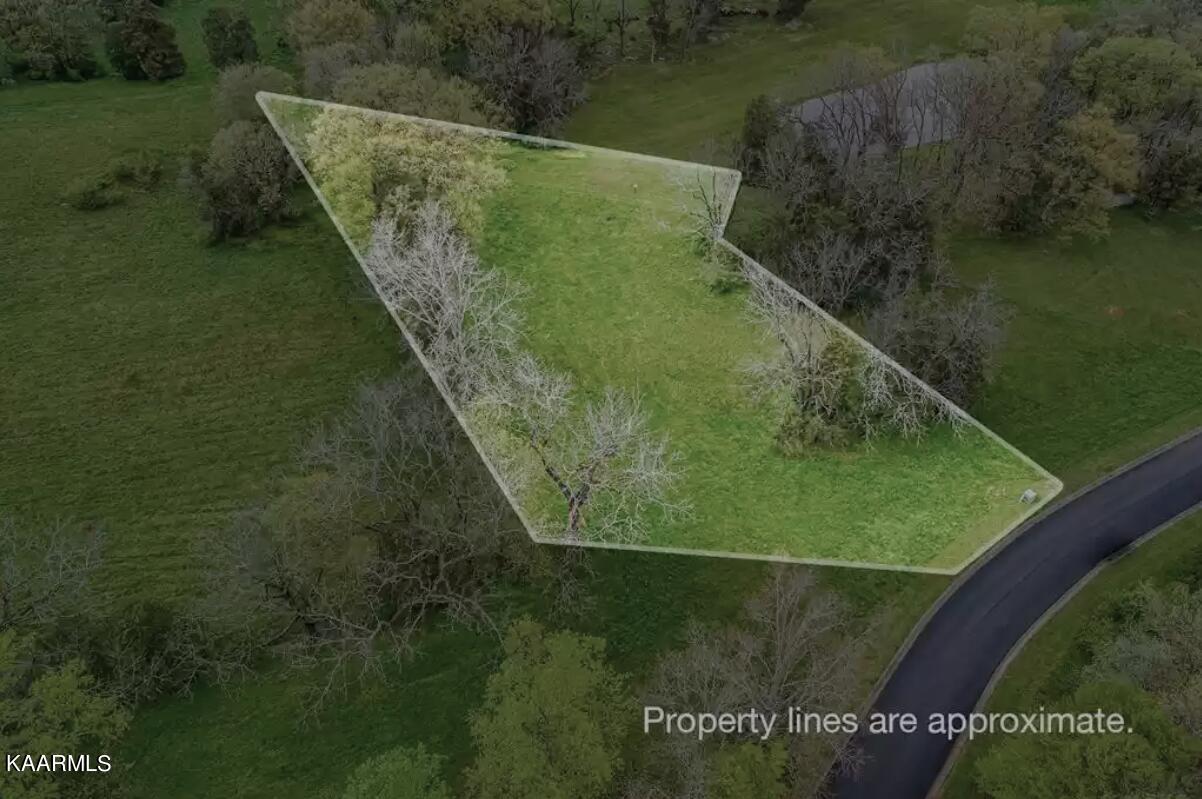 Tradition Lane Sevierville, TN 37862 - Photo 3 of 8 Tradition Lot Pic 1
