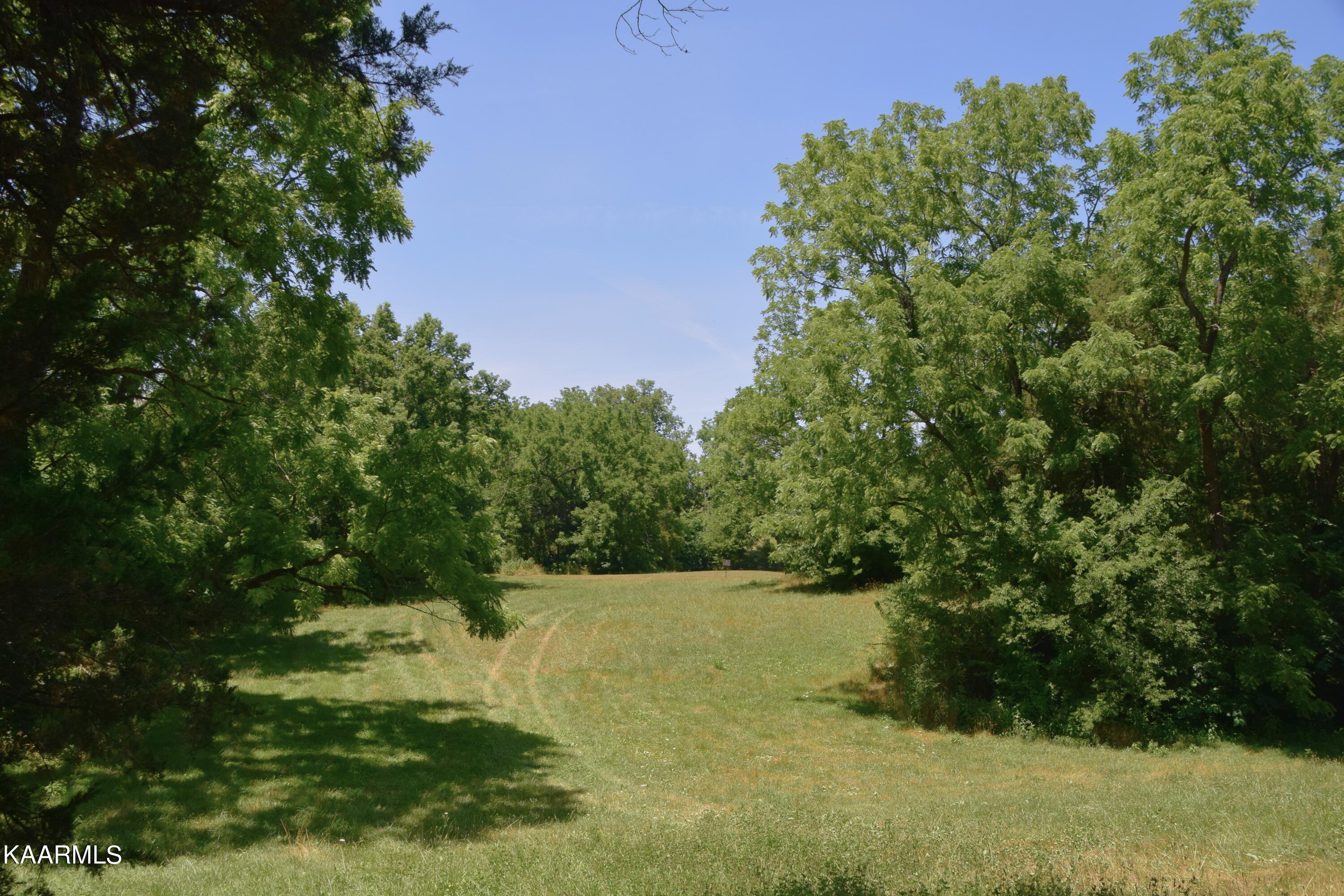 Tradition Lane Sevierville, TN 37862 - Photo 4 of 8 Tradition Lot Pic 6