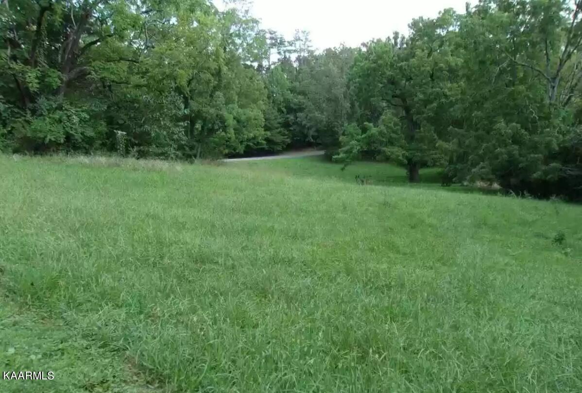 Tradition Lane Sevierville, TN 37862 - Photo 6 of 8 Tradition Lot Pic 8