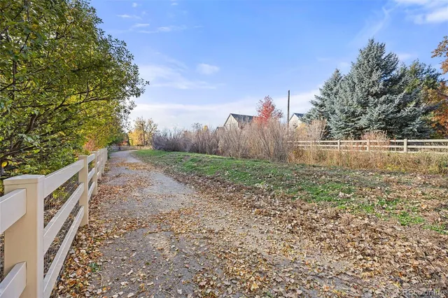a view of a yard with an trees