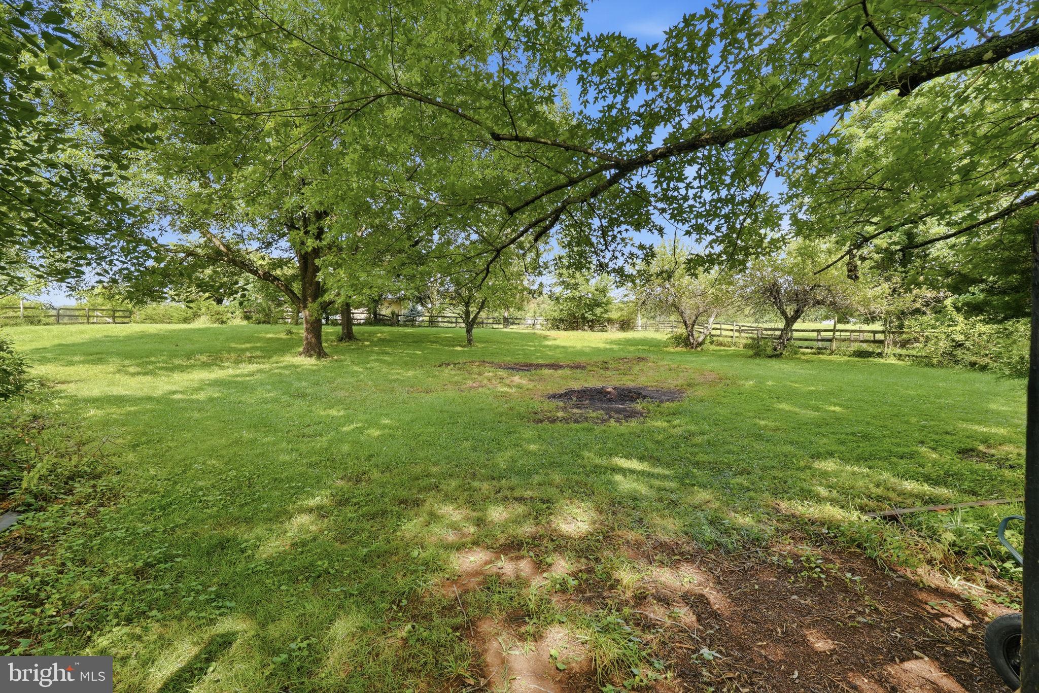 15010 Rolling Ridge Road Haymarket, VA 20169 - Photo 43 of 61 Lush green oasis under shady trees.