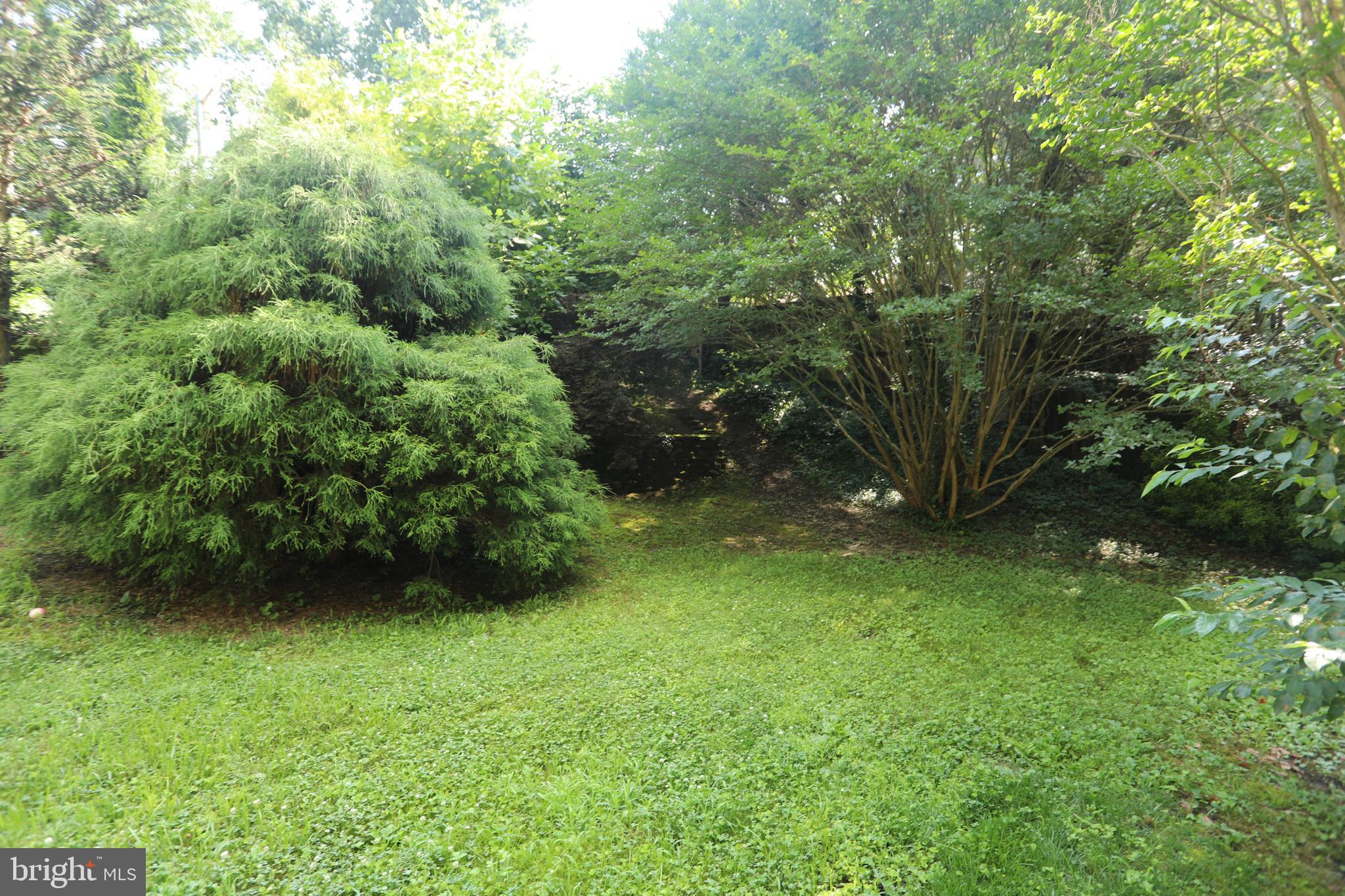 363 Hall Road Crownsville, MD 21032 - Photo 5 of 33 Gallery Image 5